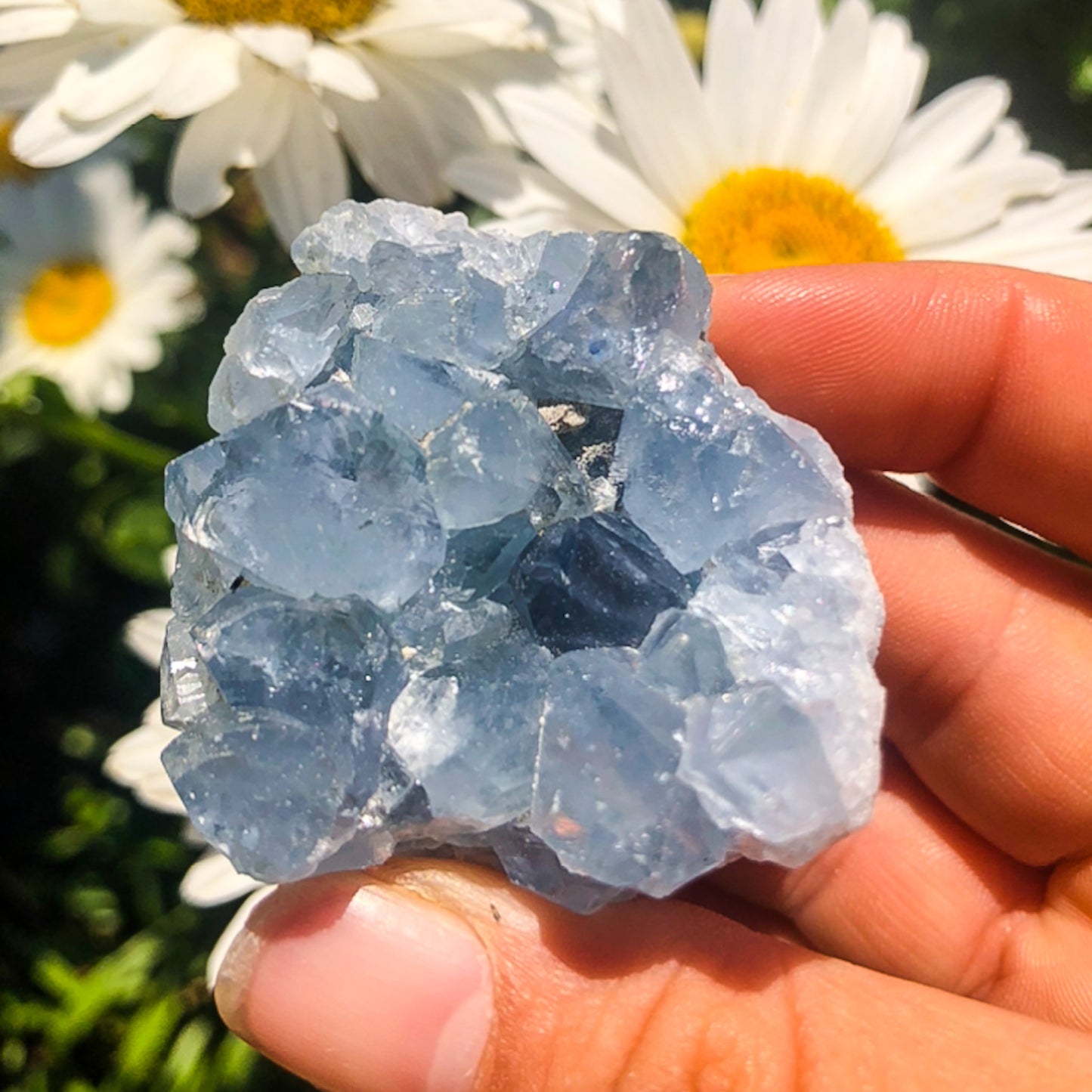 Stunning Blue Celestite Cluster
