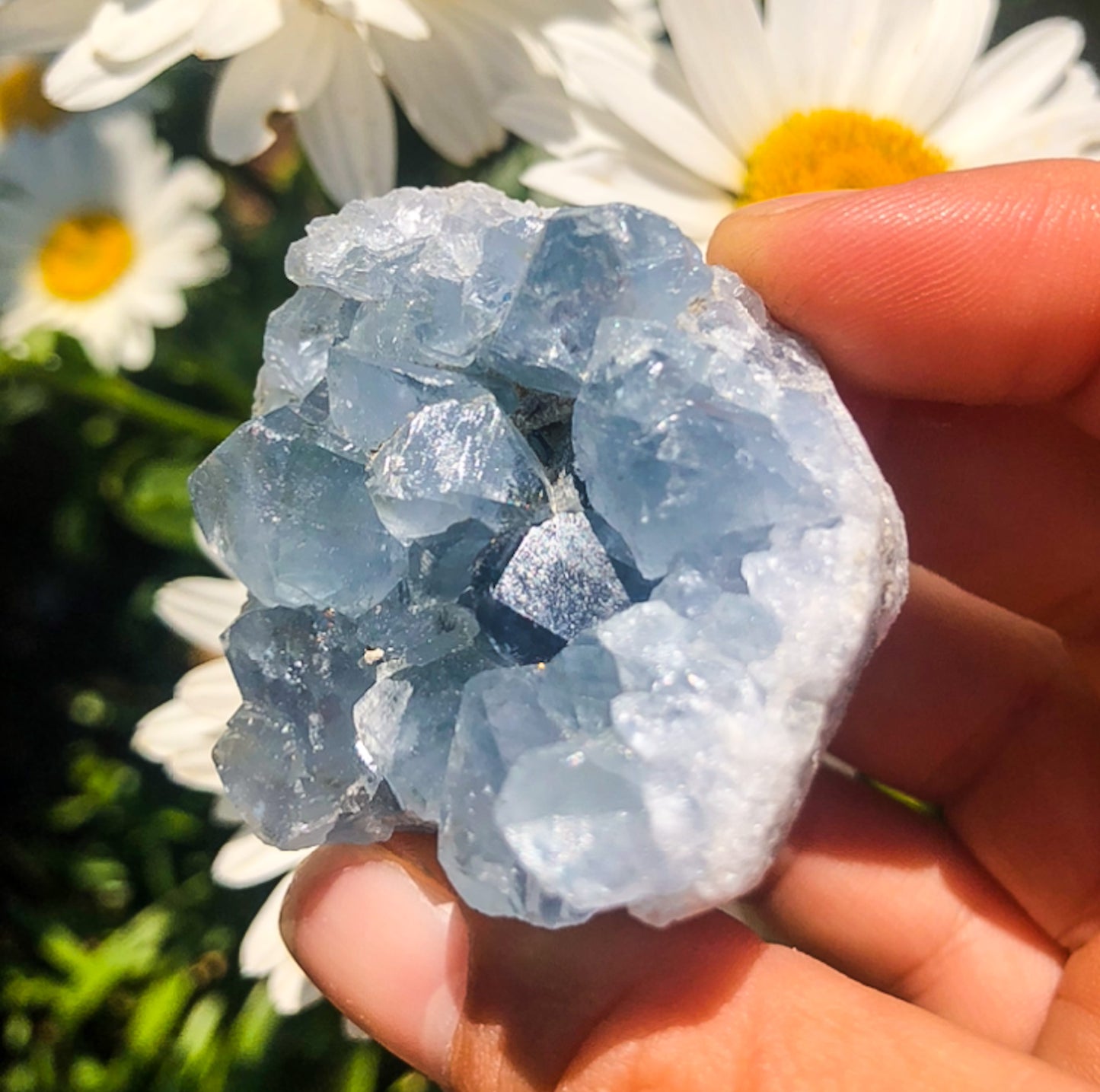 Stunning Blue Celestite Cluster
