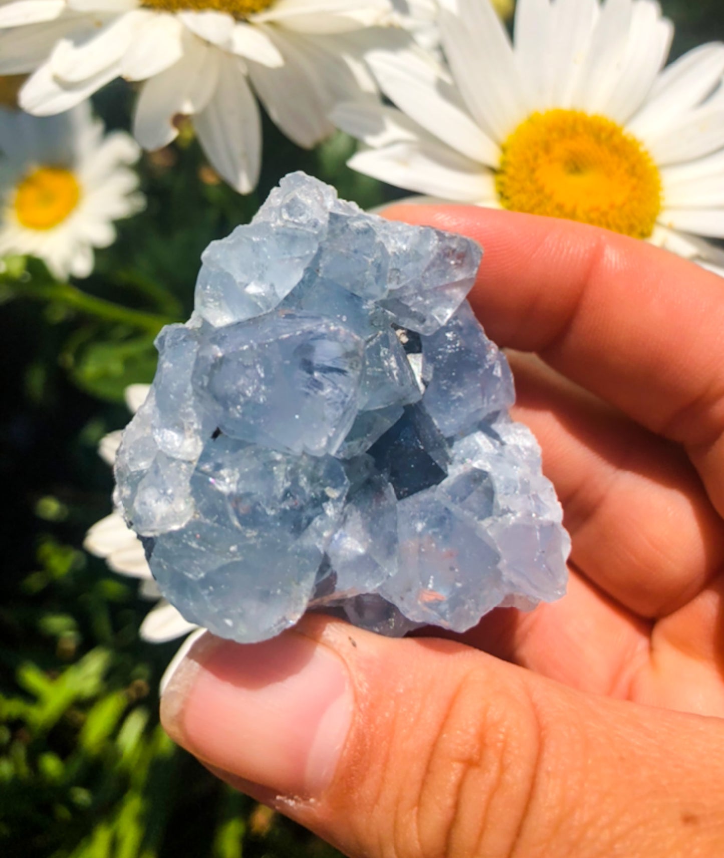 Stunning Blue Celestite Cluster