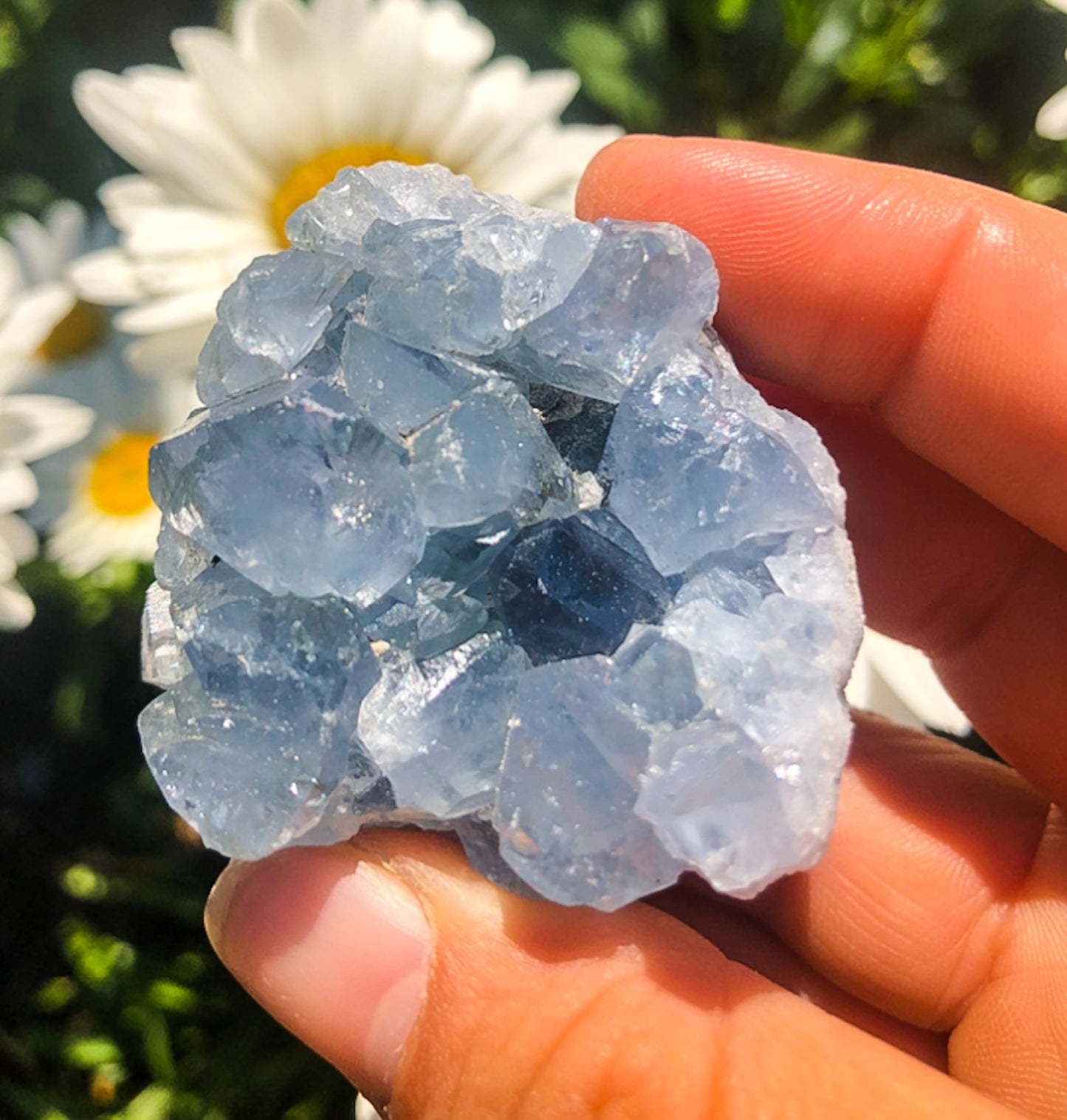 Stunning Blue Celestite Cluster
