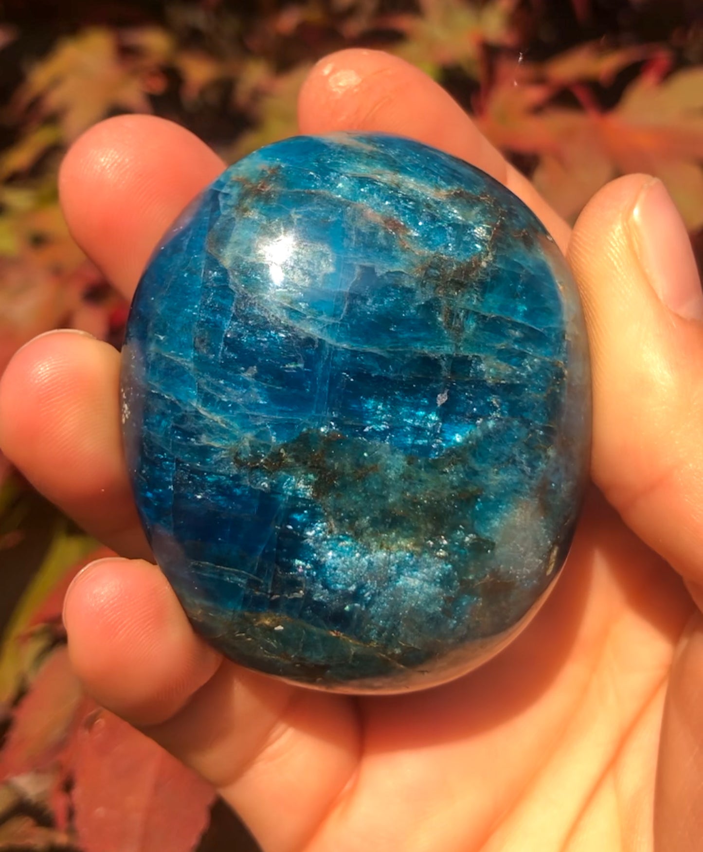 Gorgeous Blue Apatite Palm Stone
