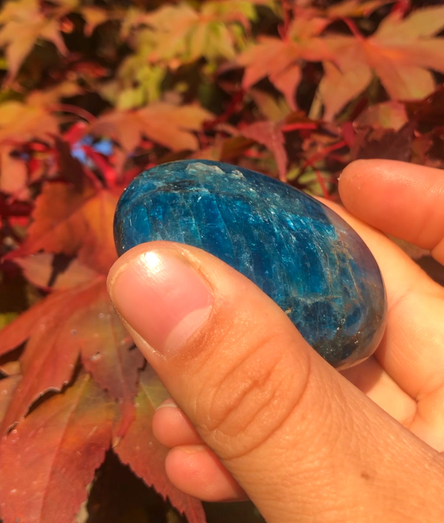 Gorgeous Blue Apatite Palm Stone