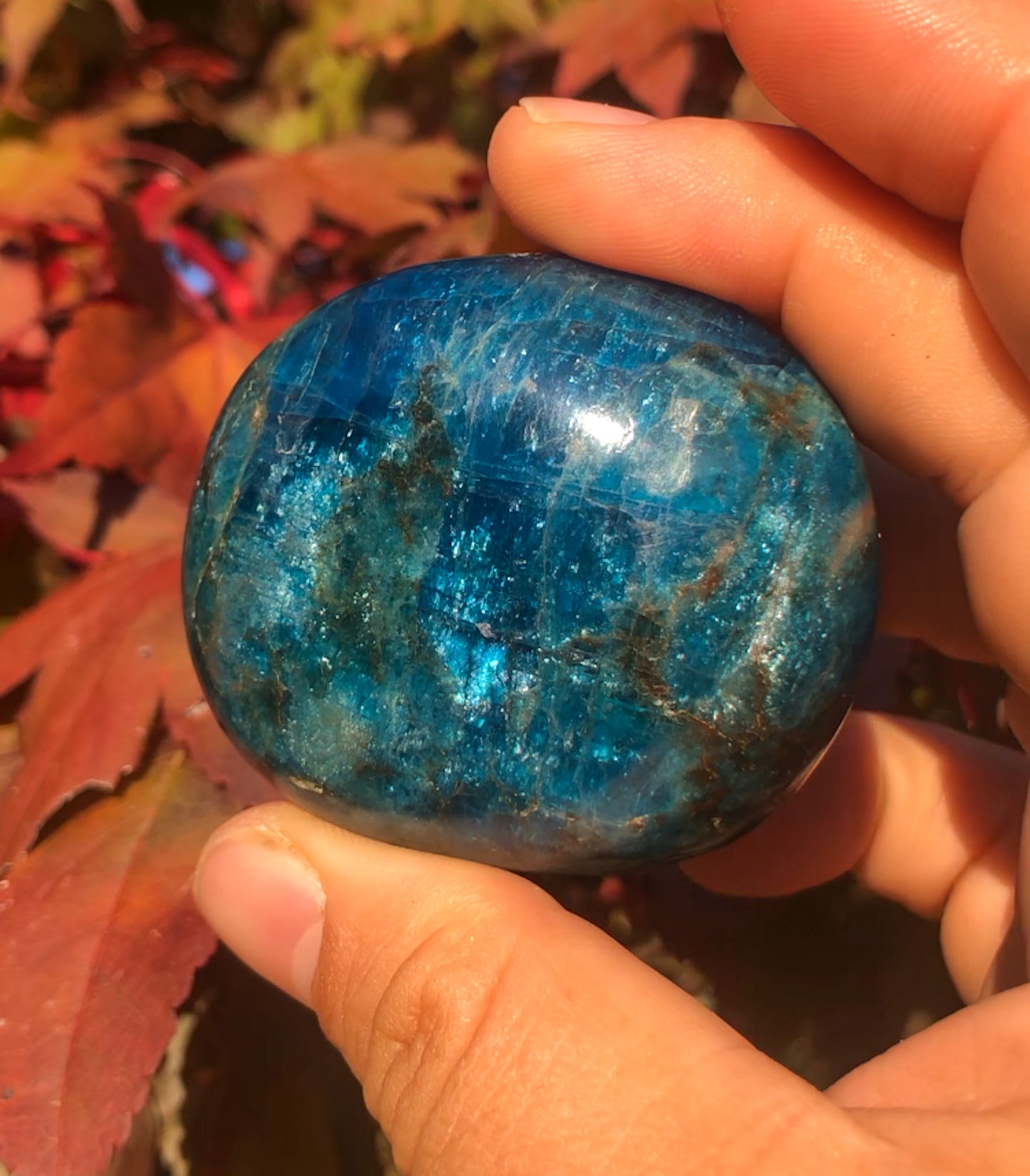 Gorgeous Blue Apatite Palm Stone