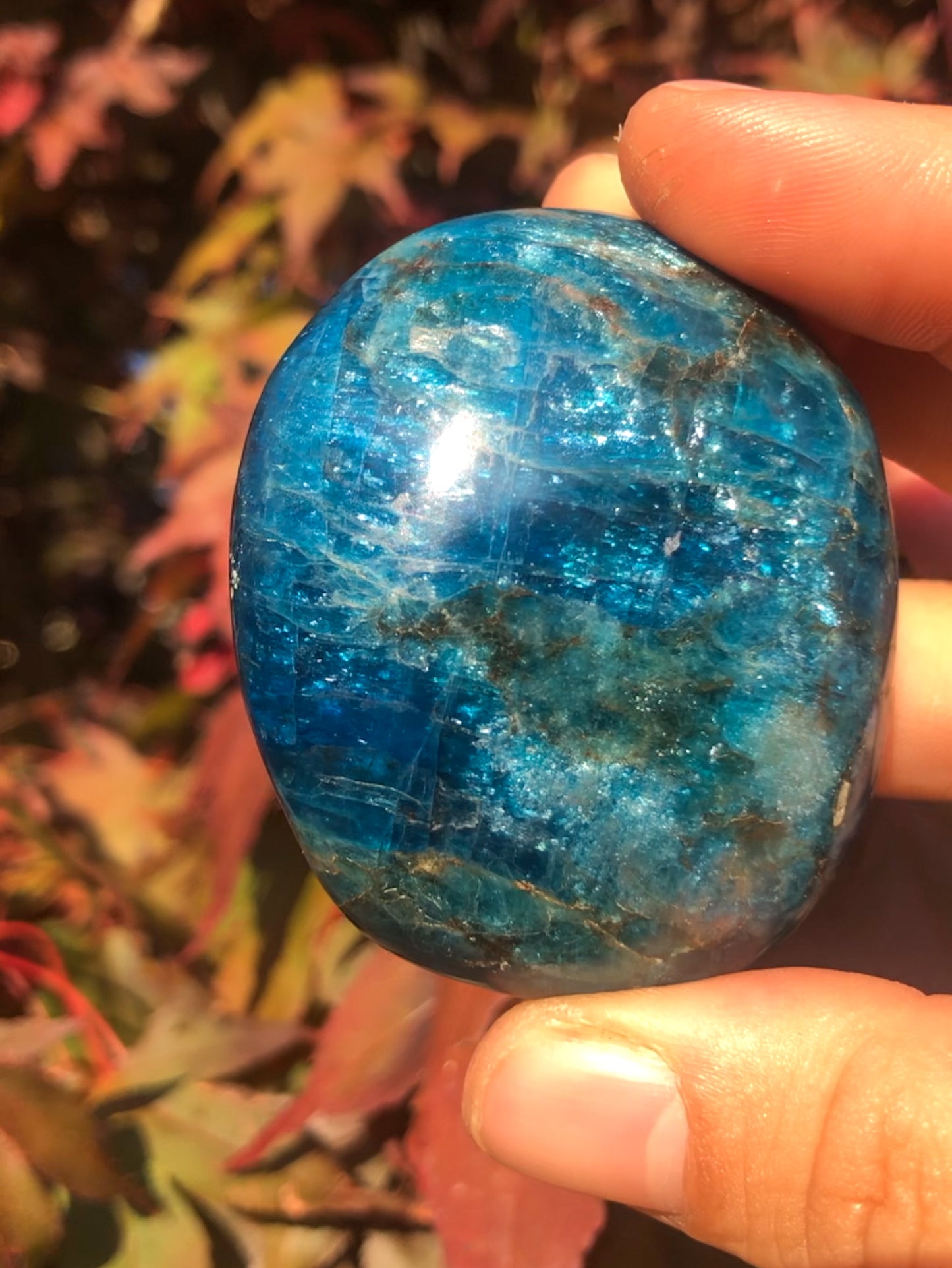 Gorgeous Blue Apatite Palm Stone
