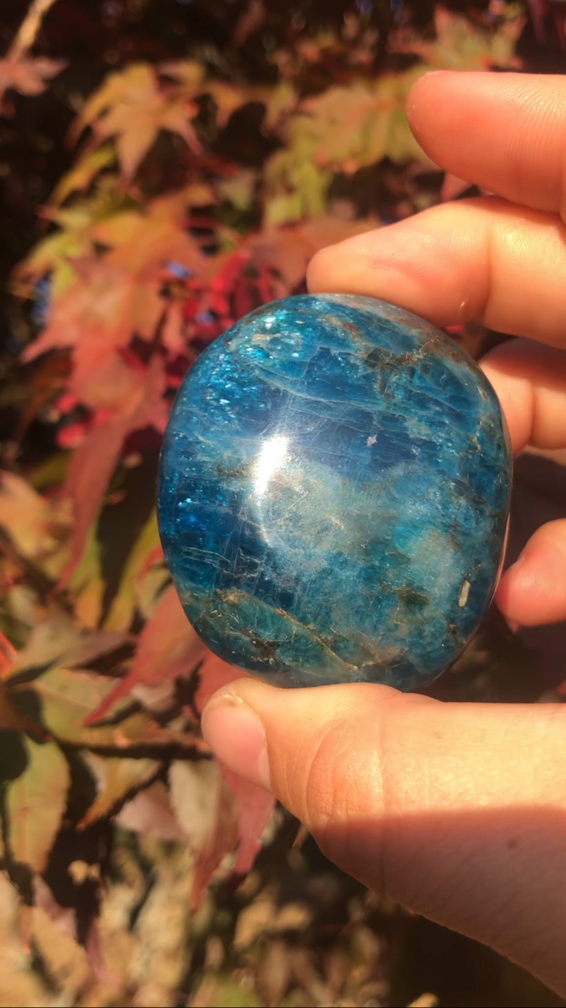 Gorgeous Blue Apatite Palm Stone