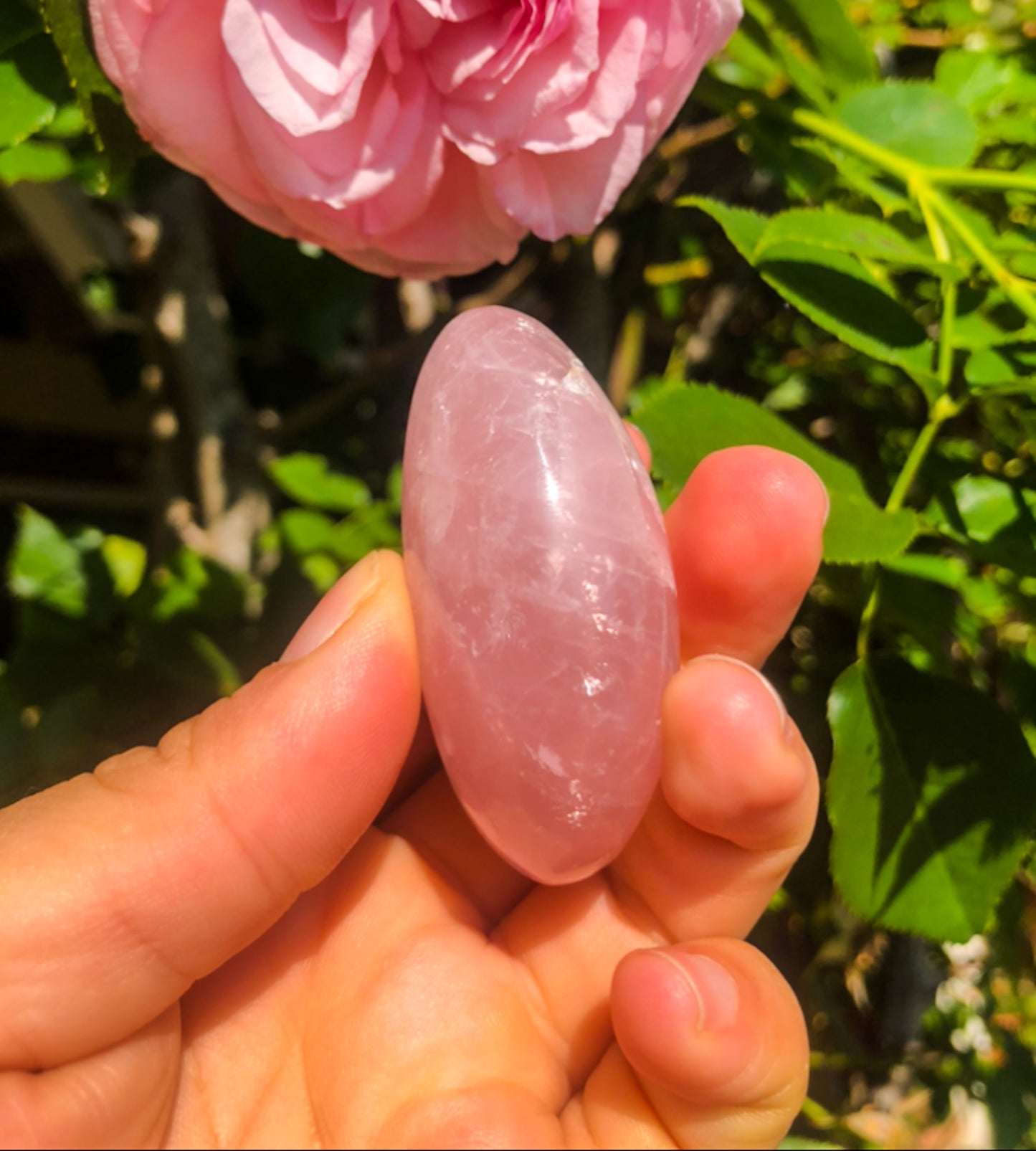 Beautiful Pink Rose Quartz Palm Stone