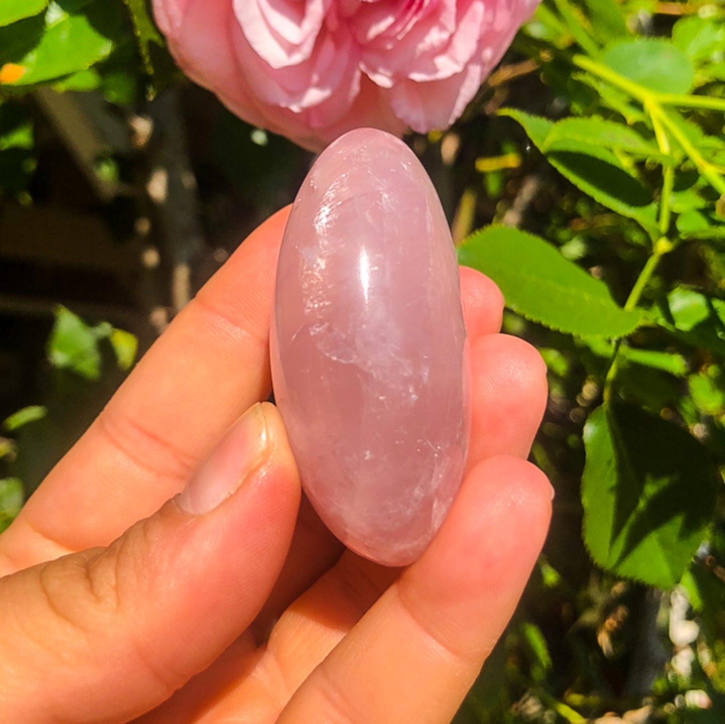 Beautiful Pink Rose Quartz Palm Stone