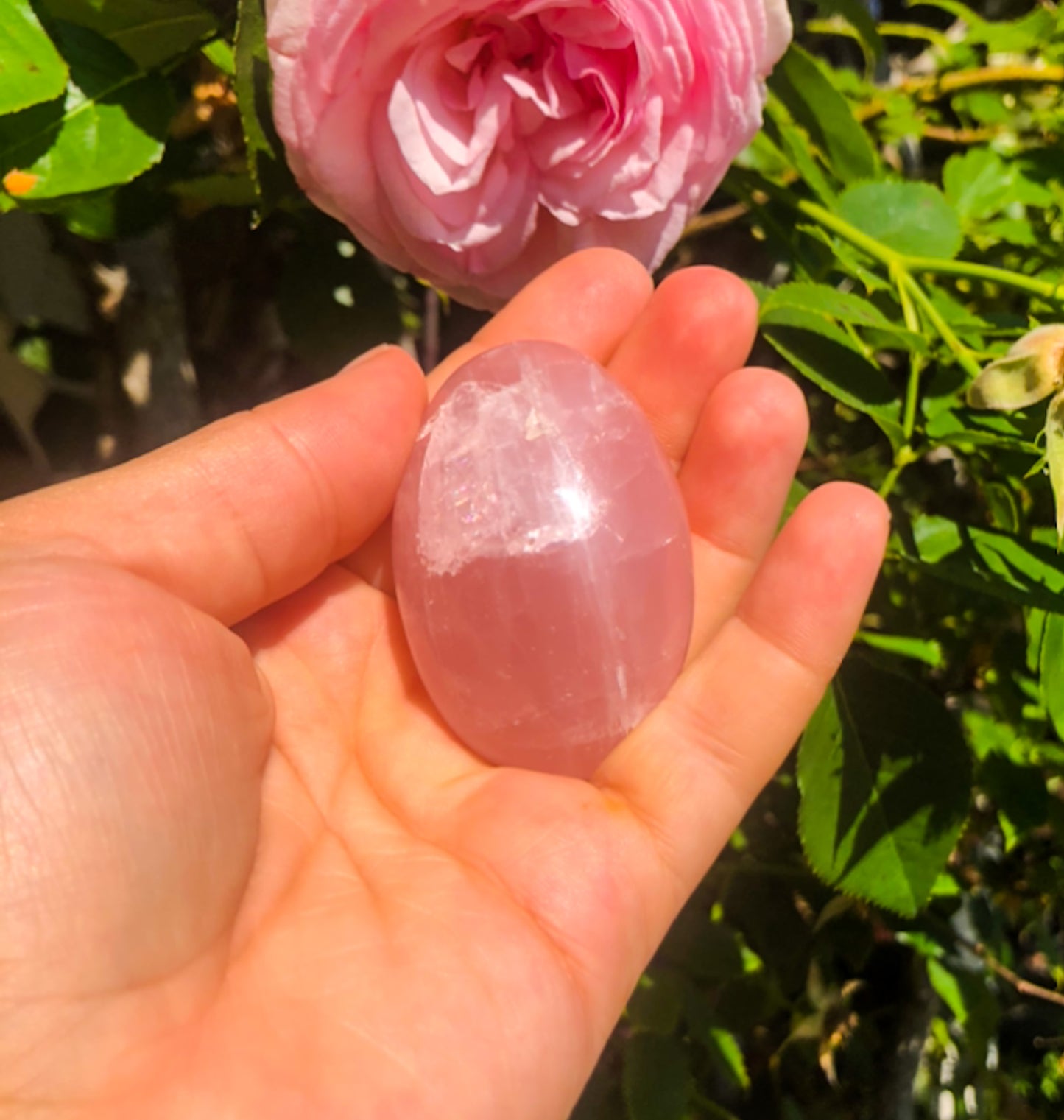 Beautiful Pink Rose Quartz Palm Stone