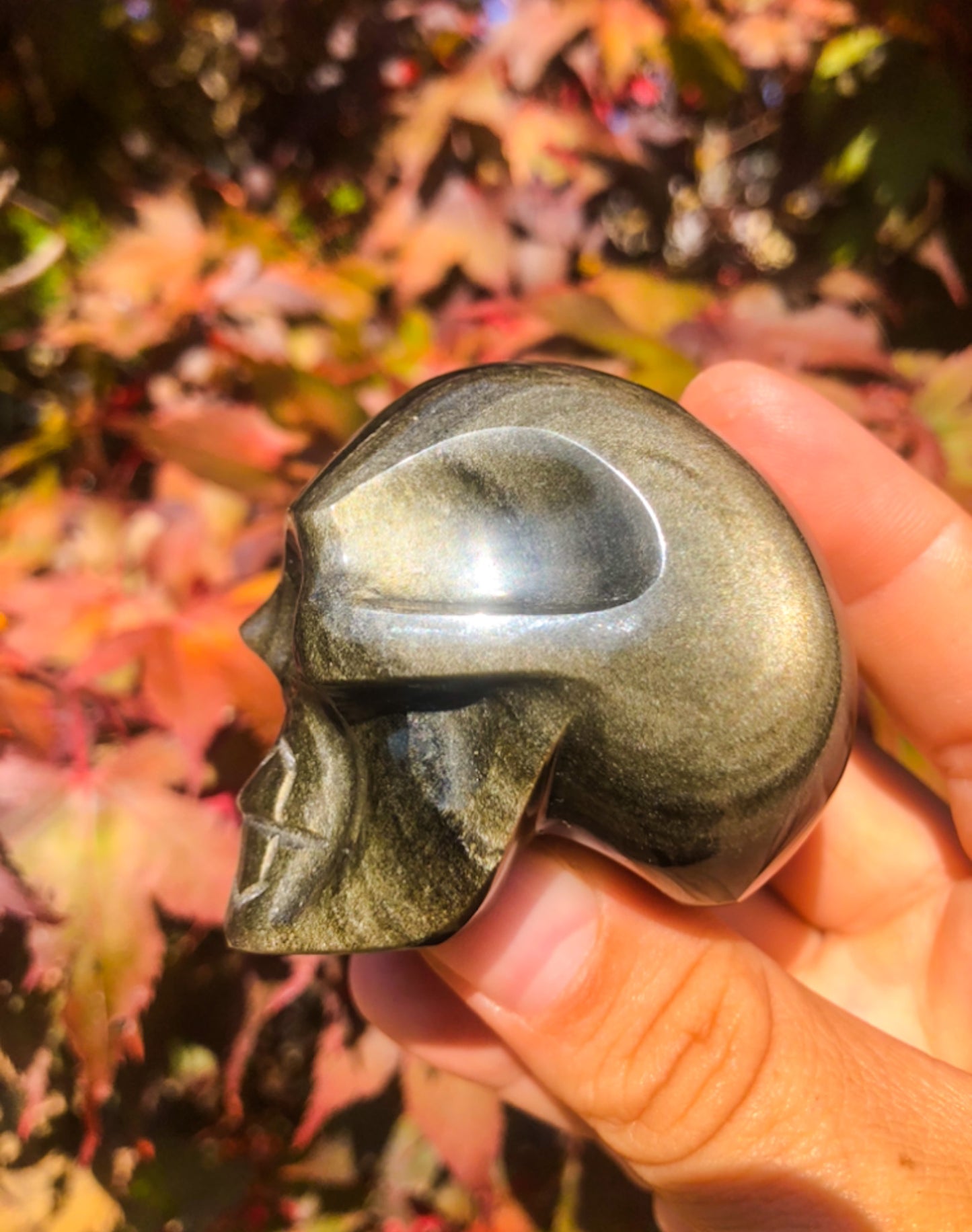 Gold Sheen Obsidian Skull Carving