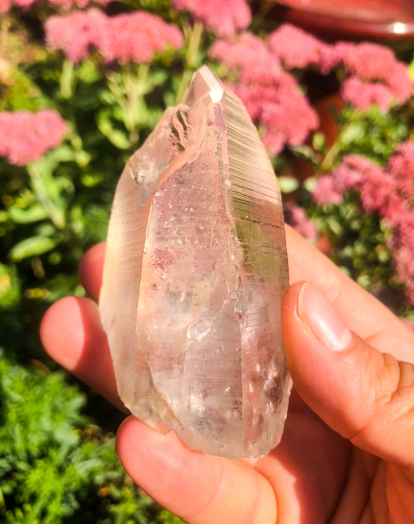 Ancient Lemurian Quartz Raw Point