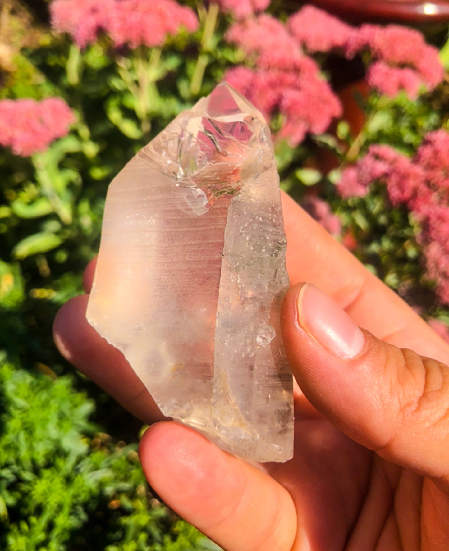 Ancient Lemurian Quartz Raw Point