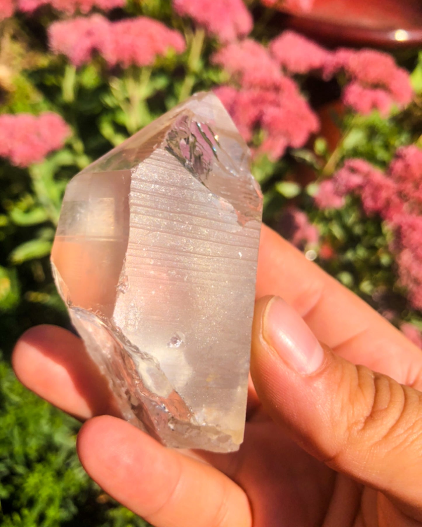 Ancient Lemurian Quartz Raw Point