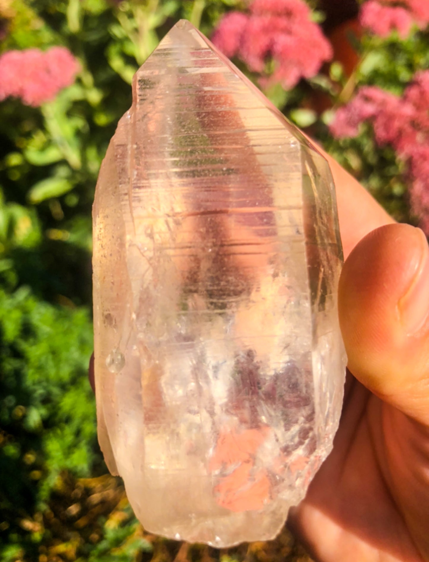 Ancient Lemurian Quartz Raw Point