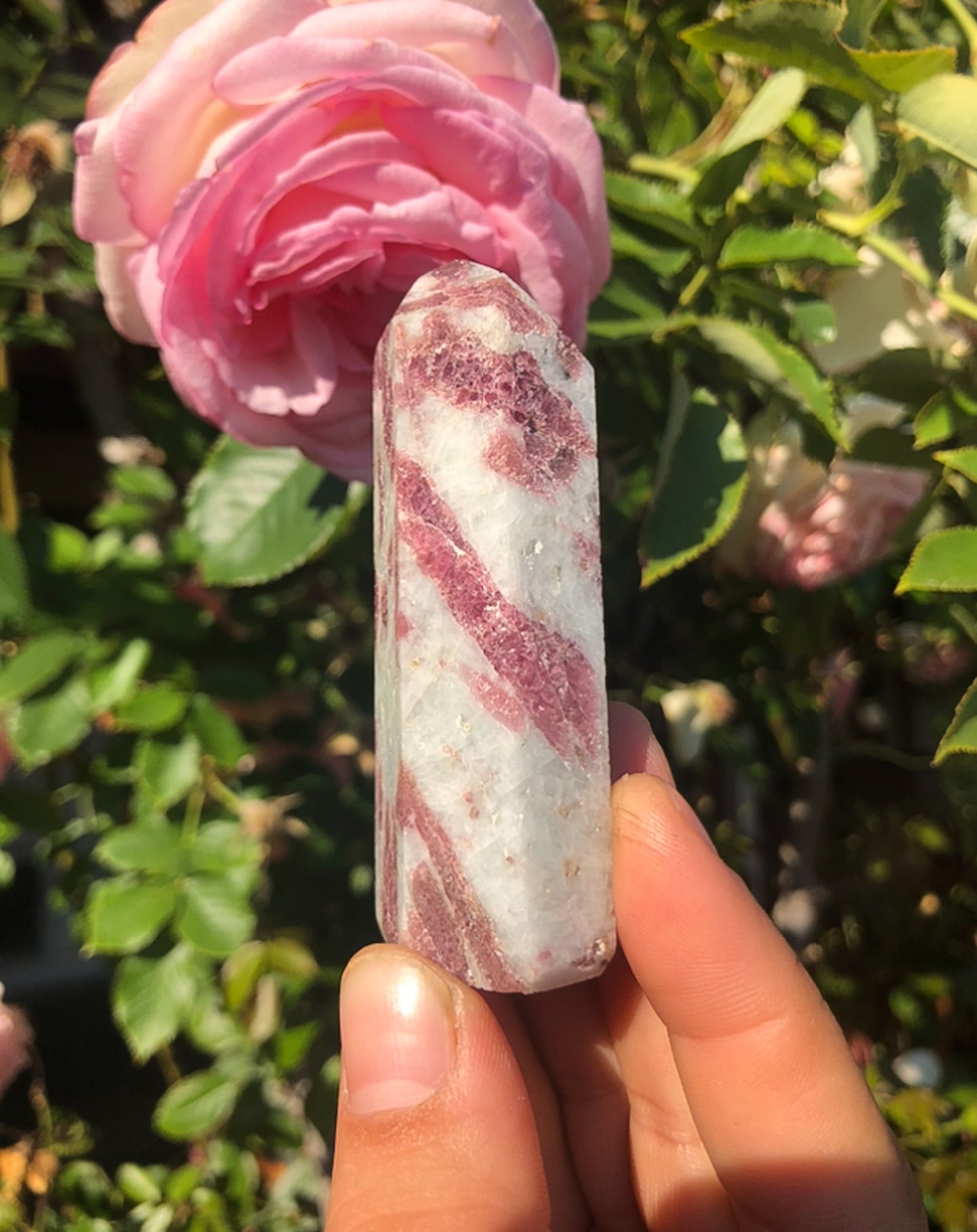 Divine Pink Tourmaline Tower