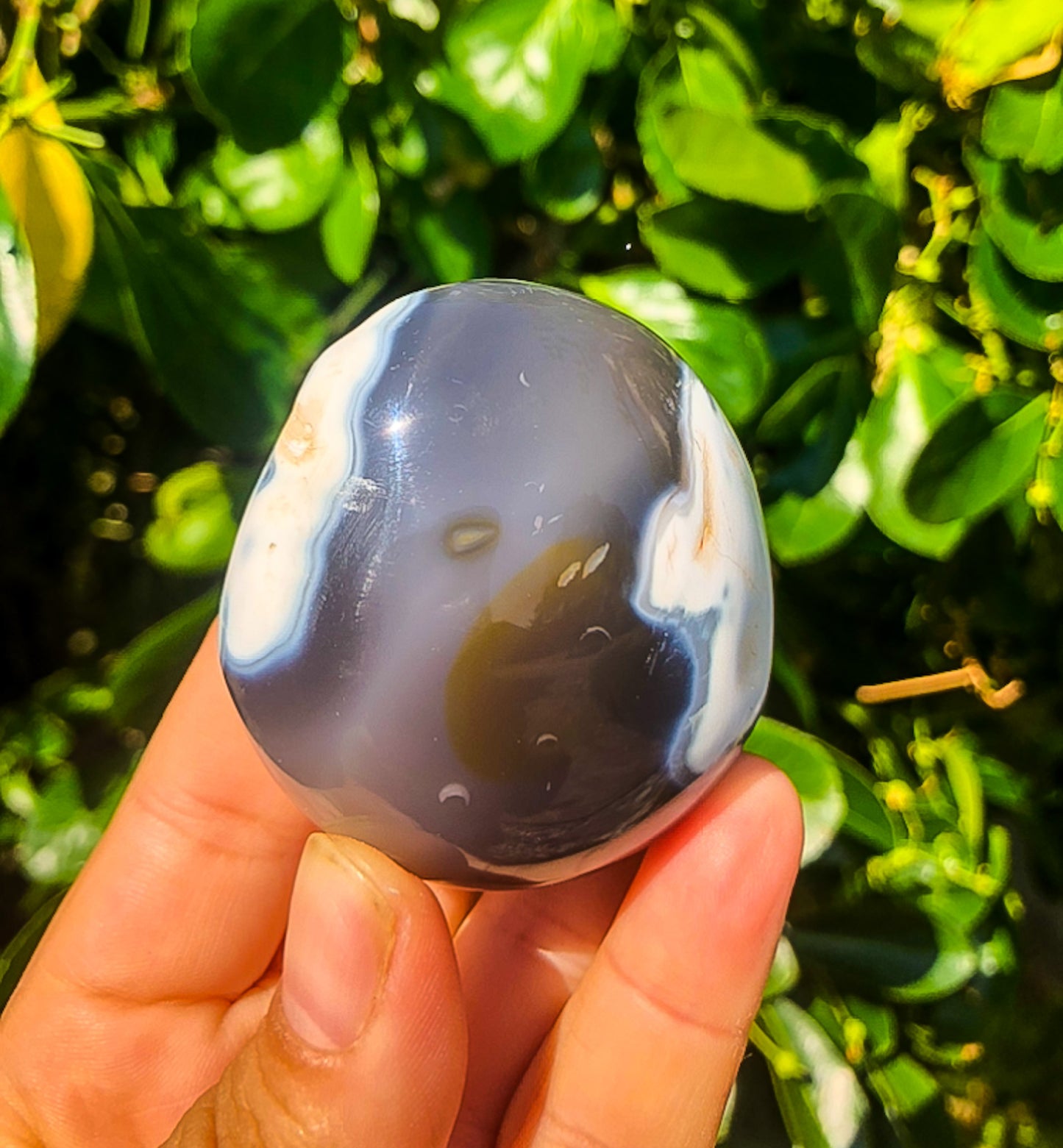 Amazing Orca Agate Palm Stone