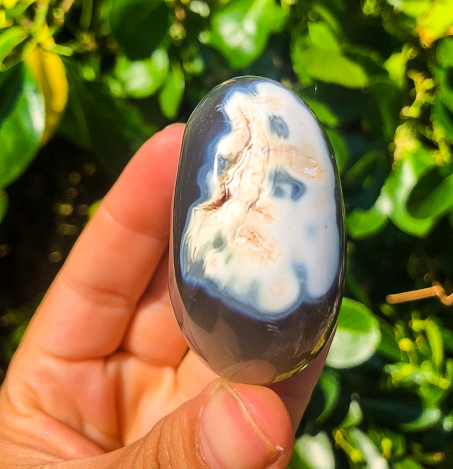 Amazing Orca Agate Palm Stone