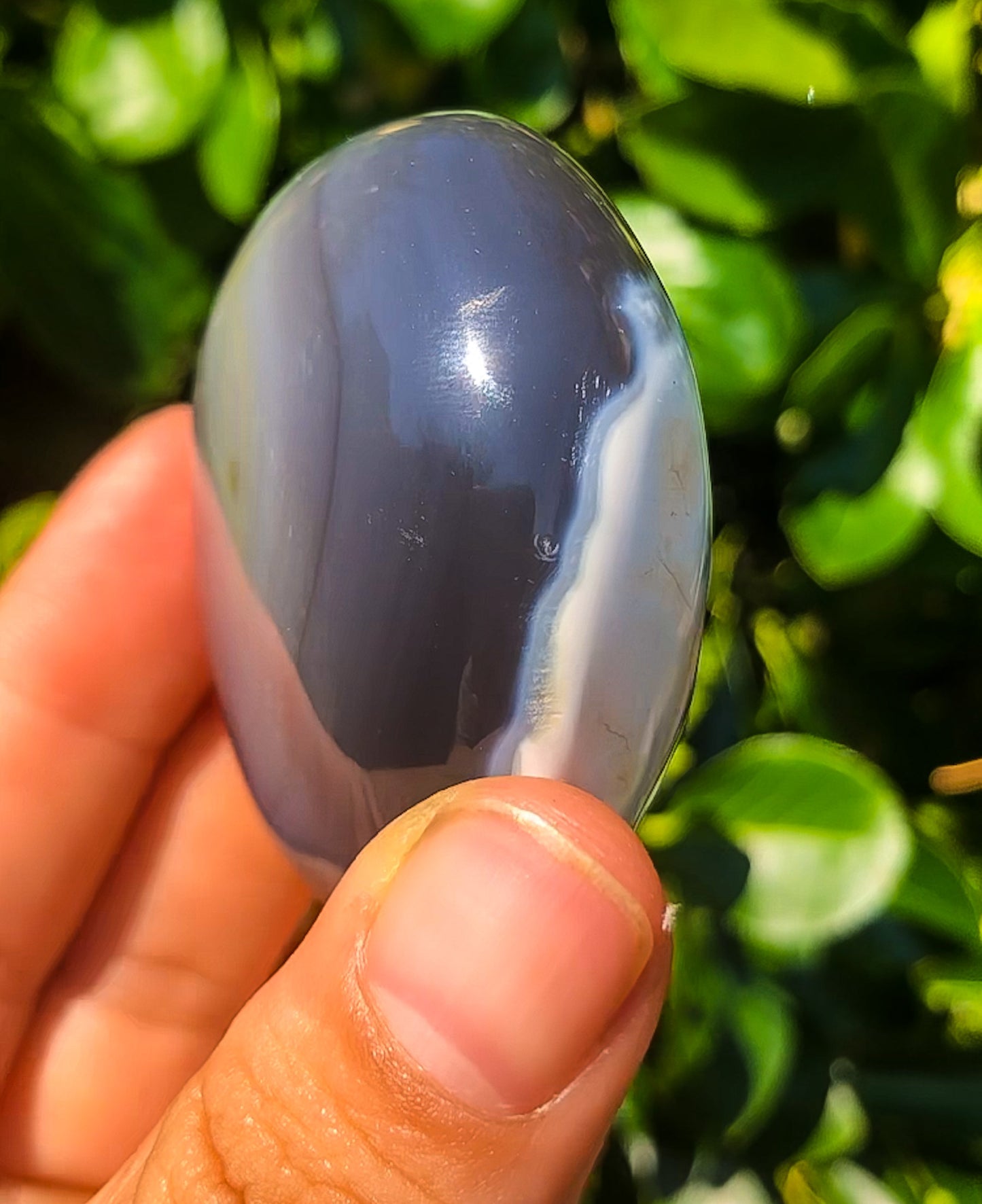 Amazing Orca Agate Palm Stone