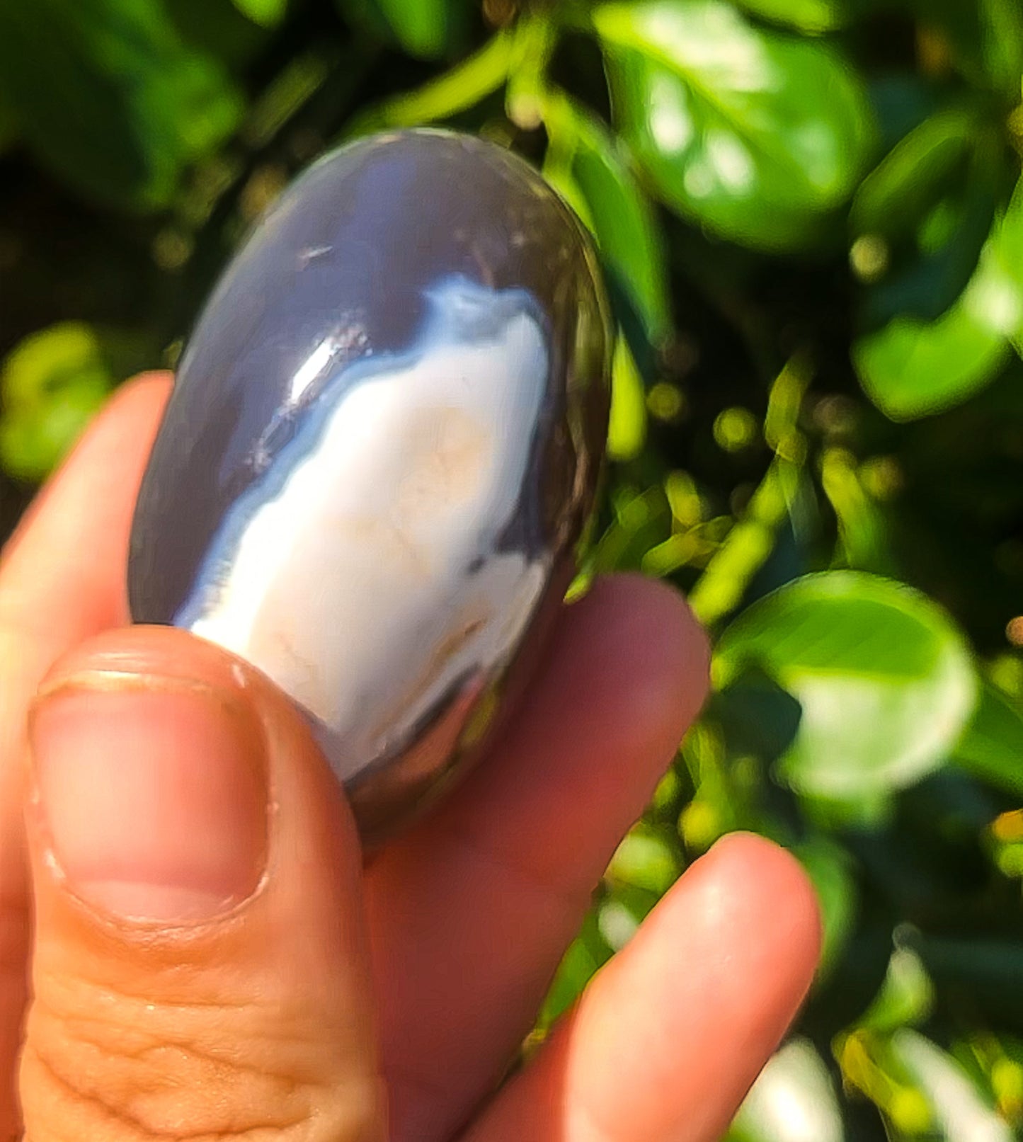 Amazing Orca Agate Palm Stone