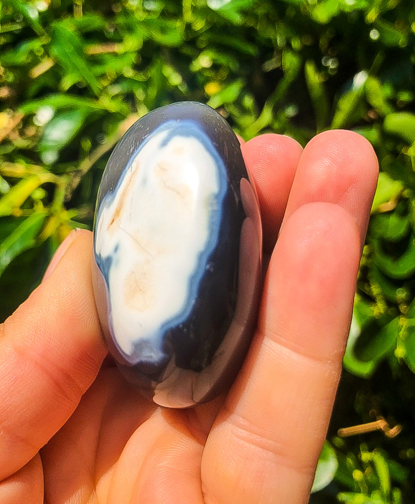 Amazing Orca Agate Palm Stone