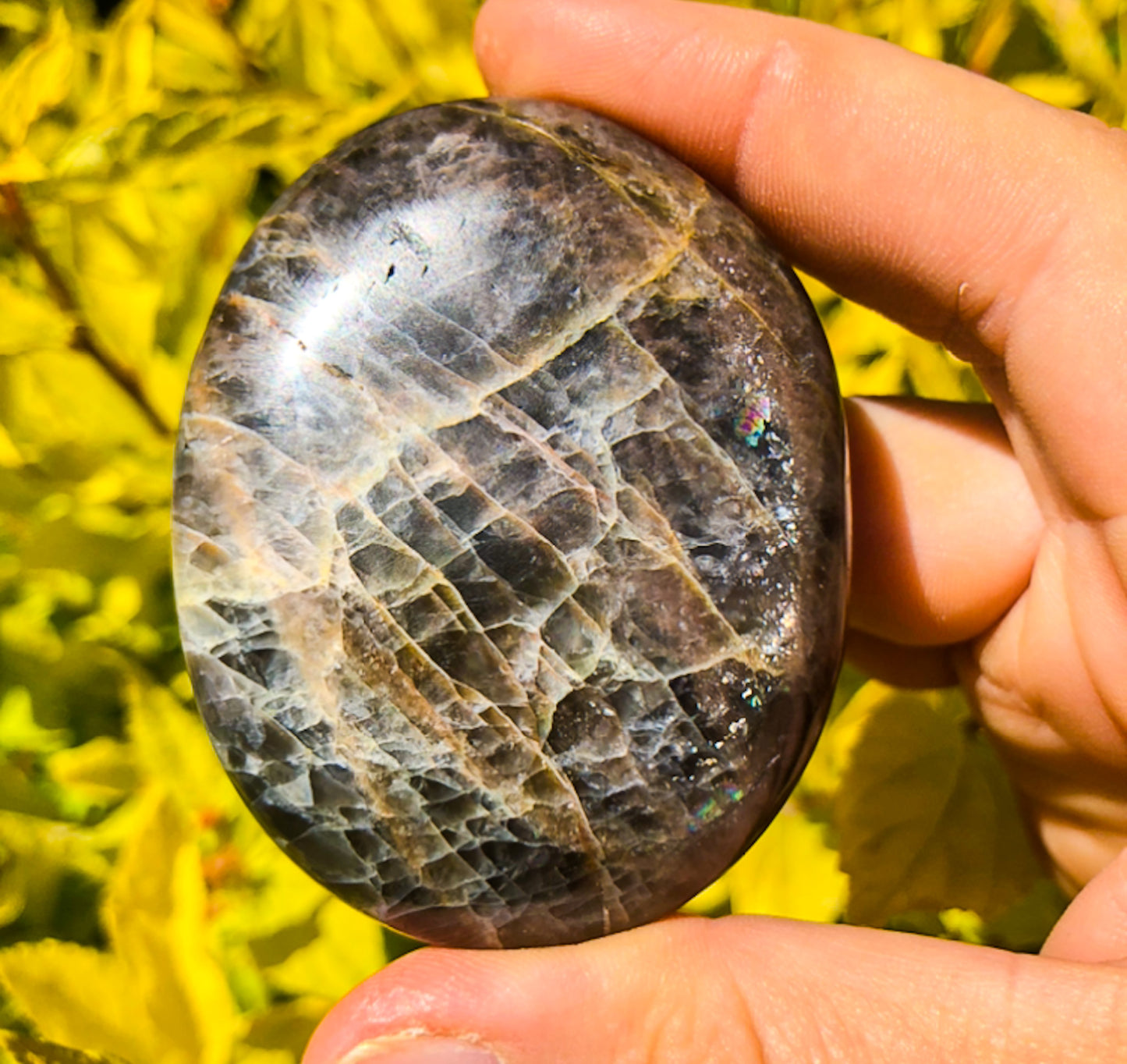 Flashy Black Moonstone Palm Stone