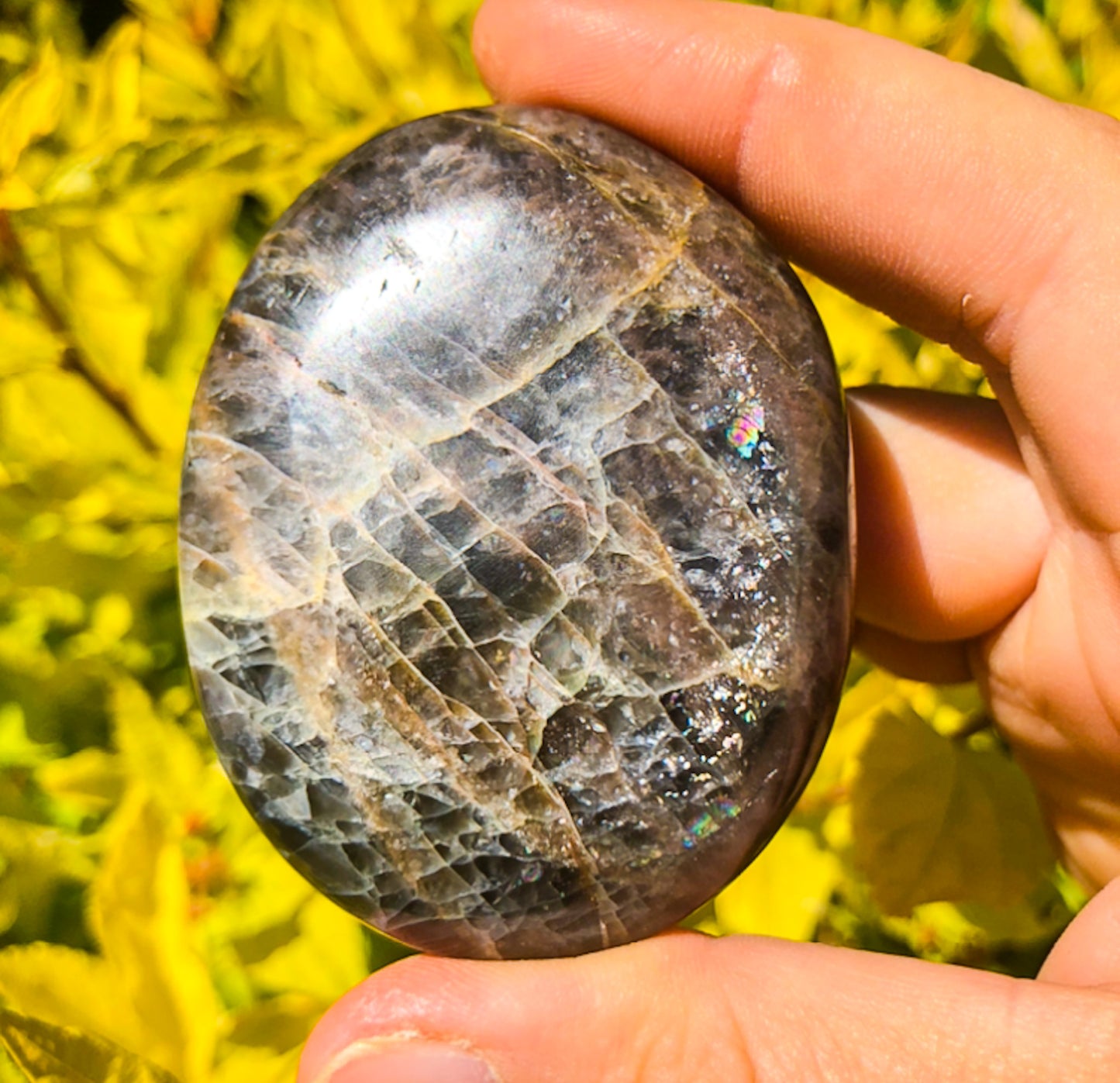Flashy Black Moonstone Palm Stone