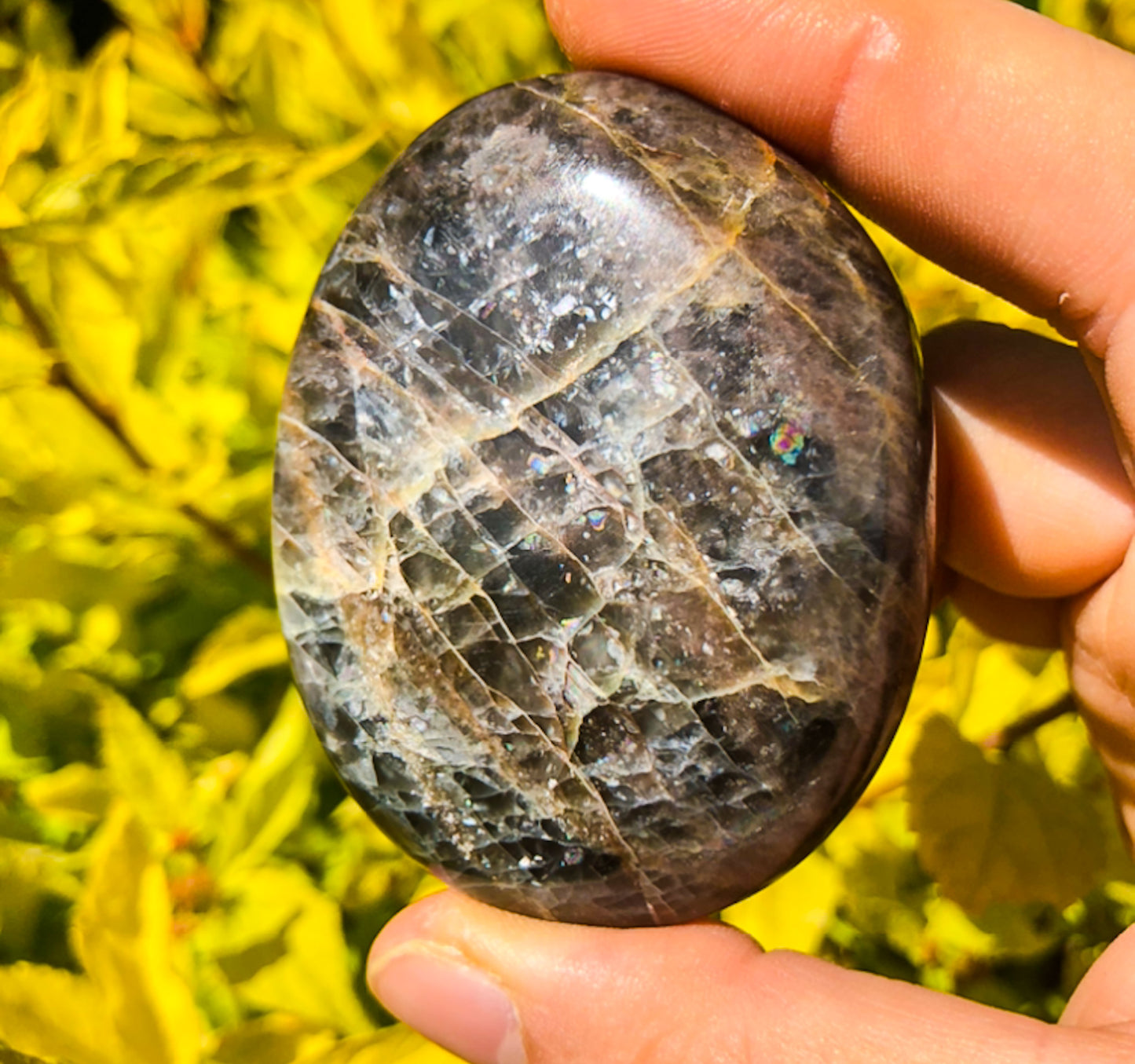 Flashy Black Moonstone Palm Stone