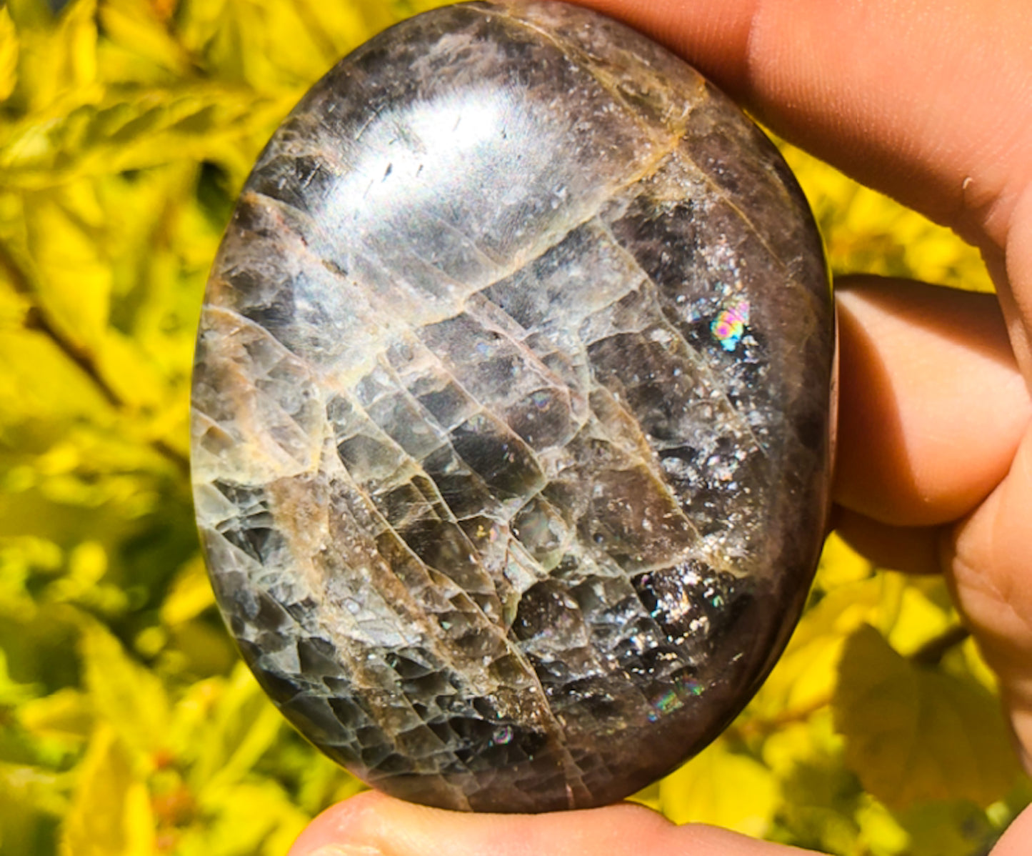 Flashy Black Moonstone Palm Stone