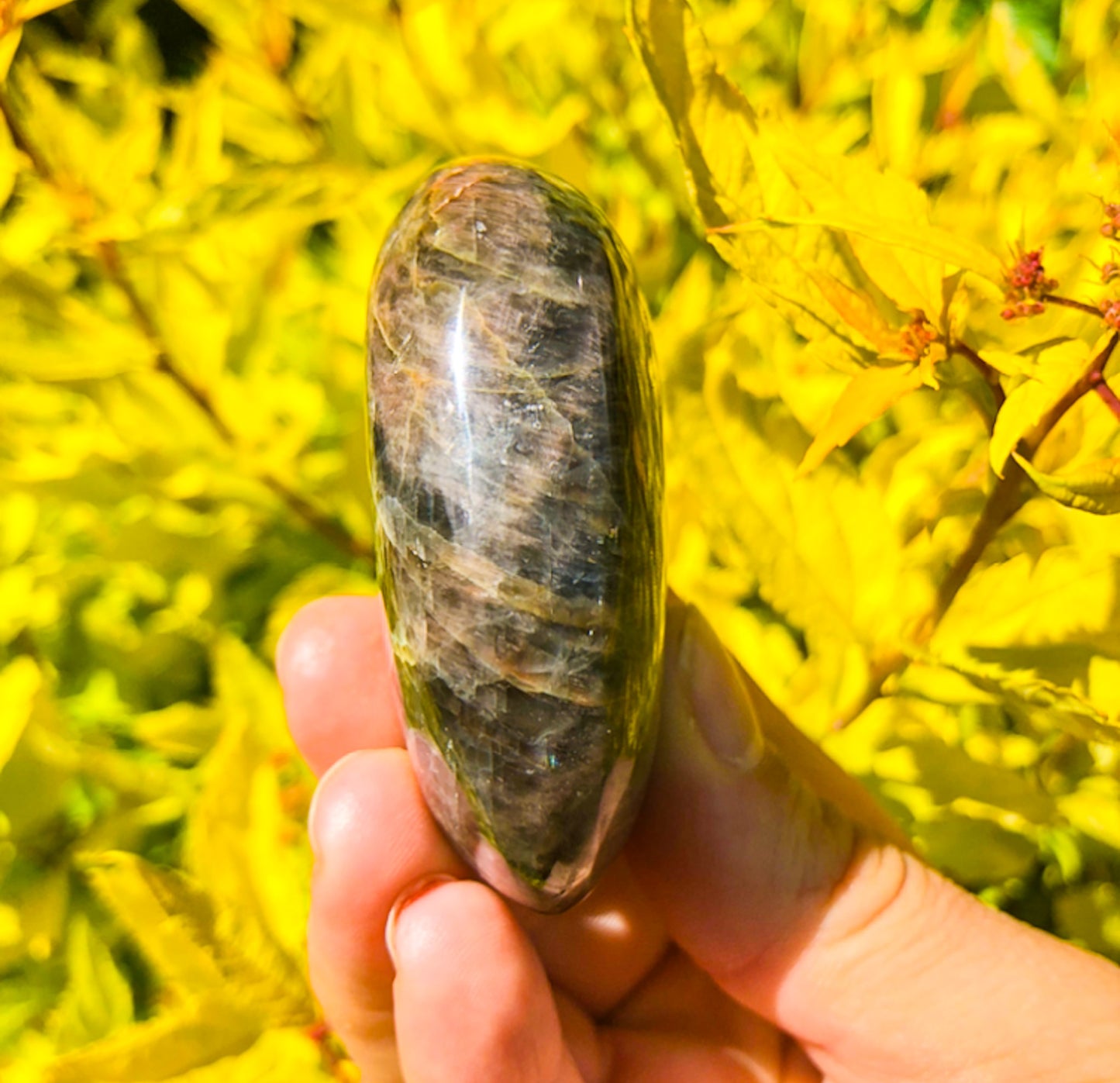 Flashy Black Moonstone Palm Stone
