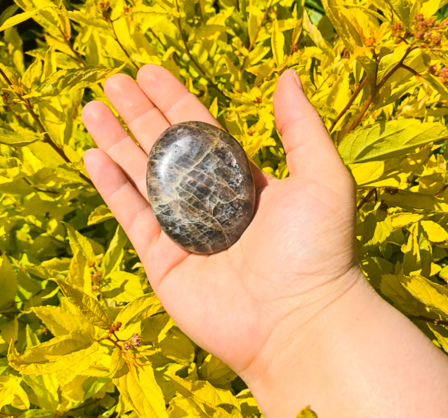 Flashy Black Moonstone Palm Stone