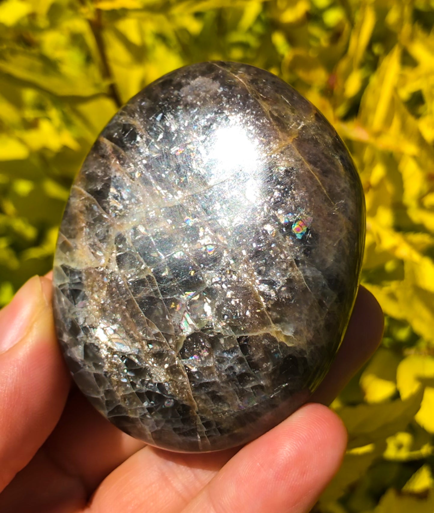 Flashy Black Moonstone Palm Stone