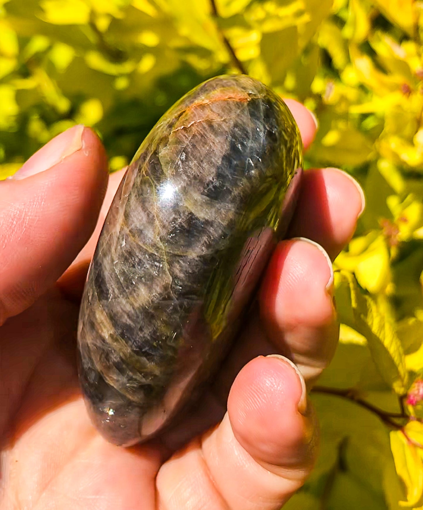Flashy Black Moonstone Palm Stone