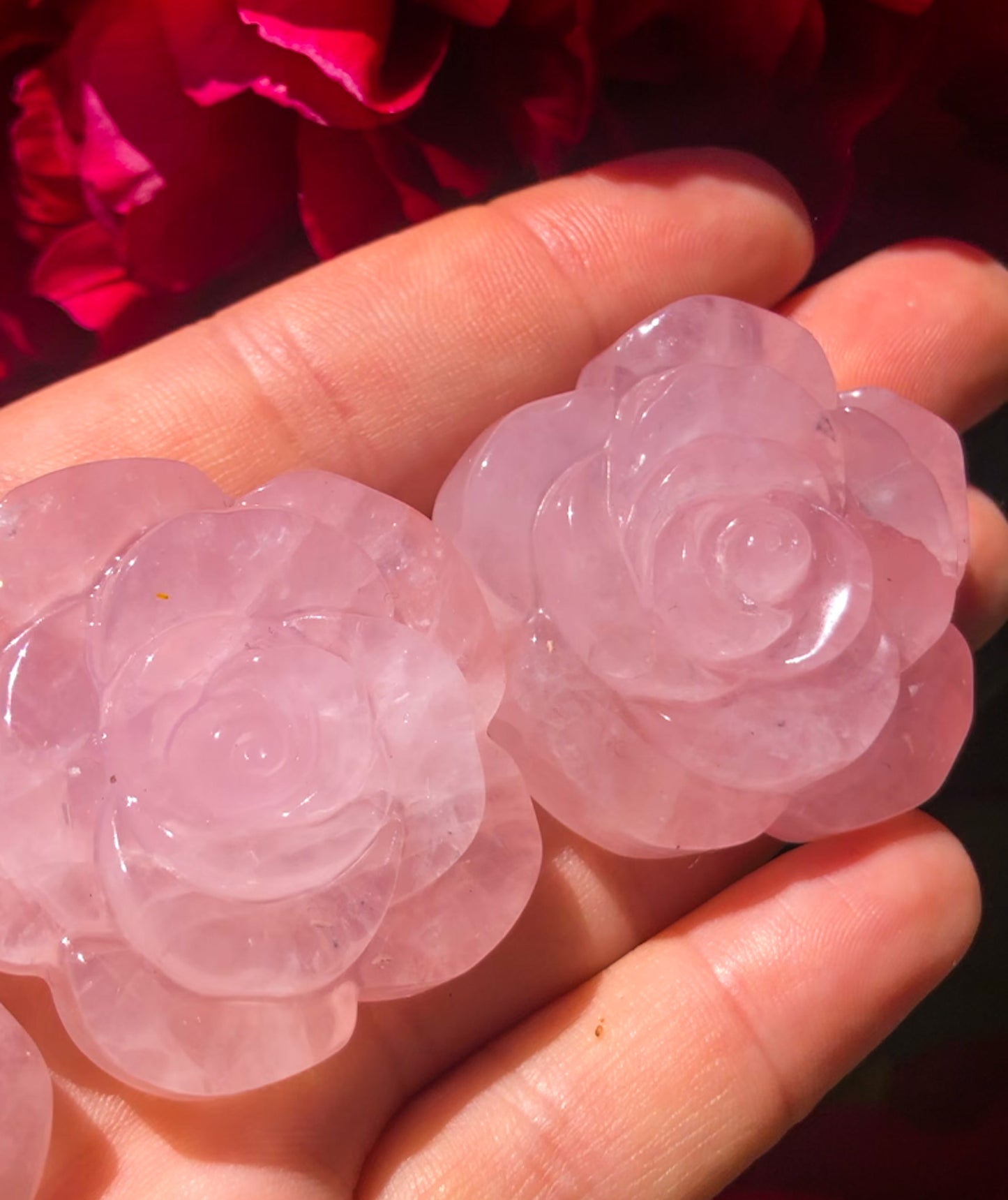 Adorable Pink Rose Quartz Rose Carving