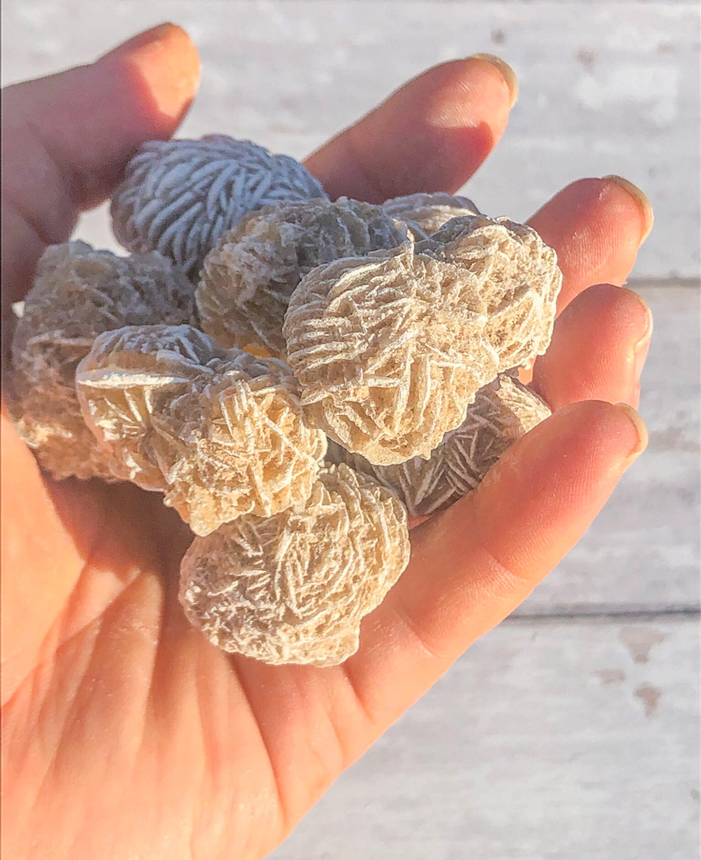 Desert Rose Selenite