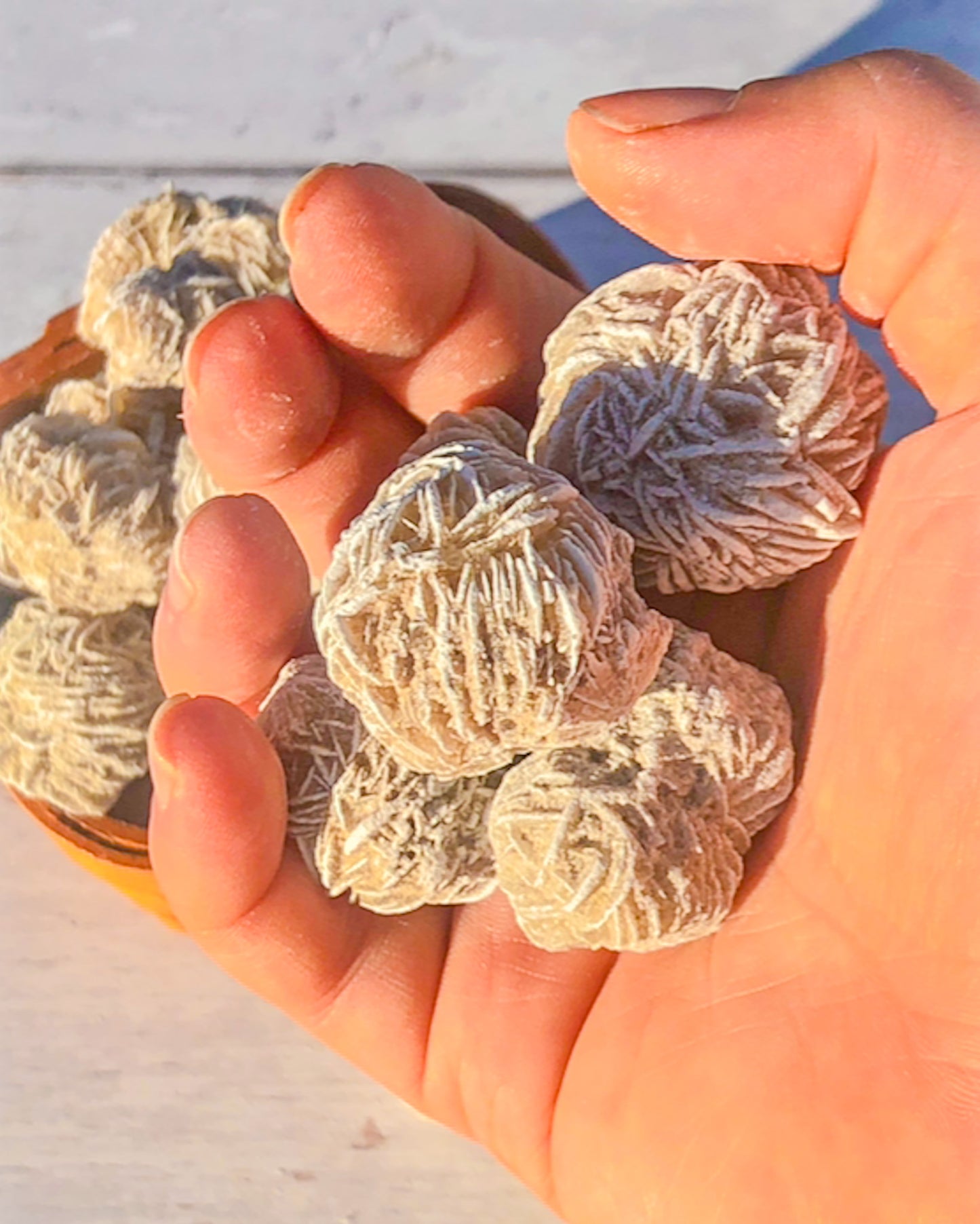 Desert Rose Selenite