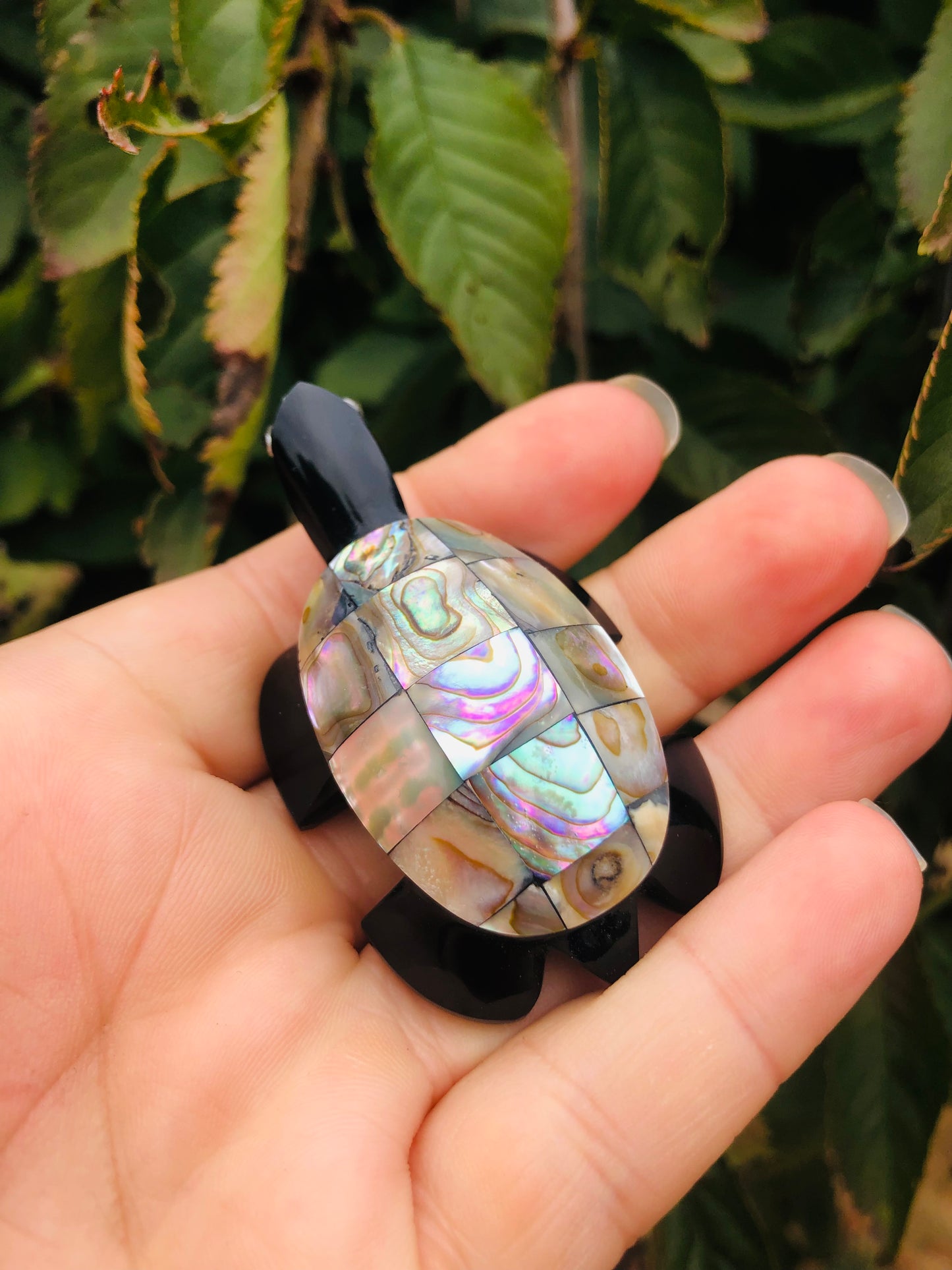 Precious Abalone & Black Obsidian Turtle Carving