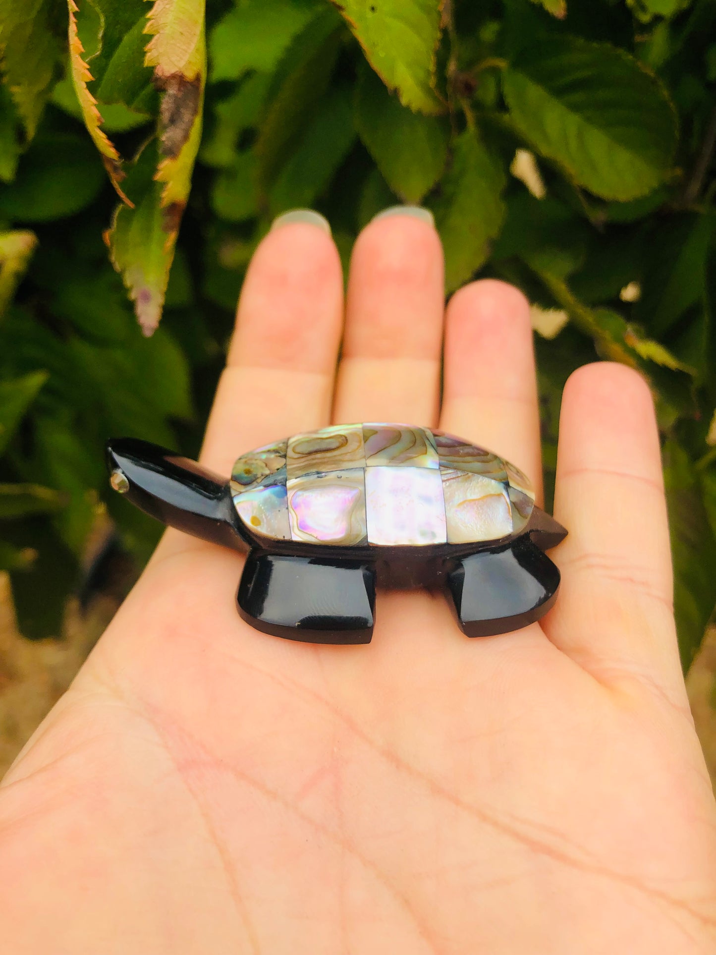Precious Abalone & Black Obsidian Turtle Carving