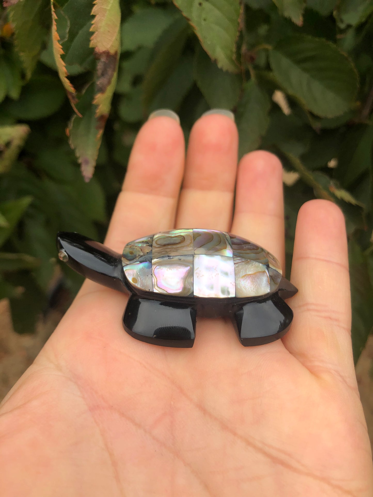 Precious Abalone & Black Obsidian Turtle Carving