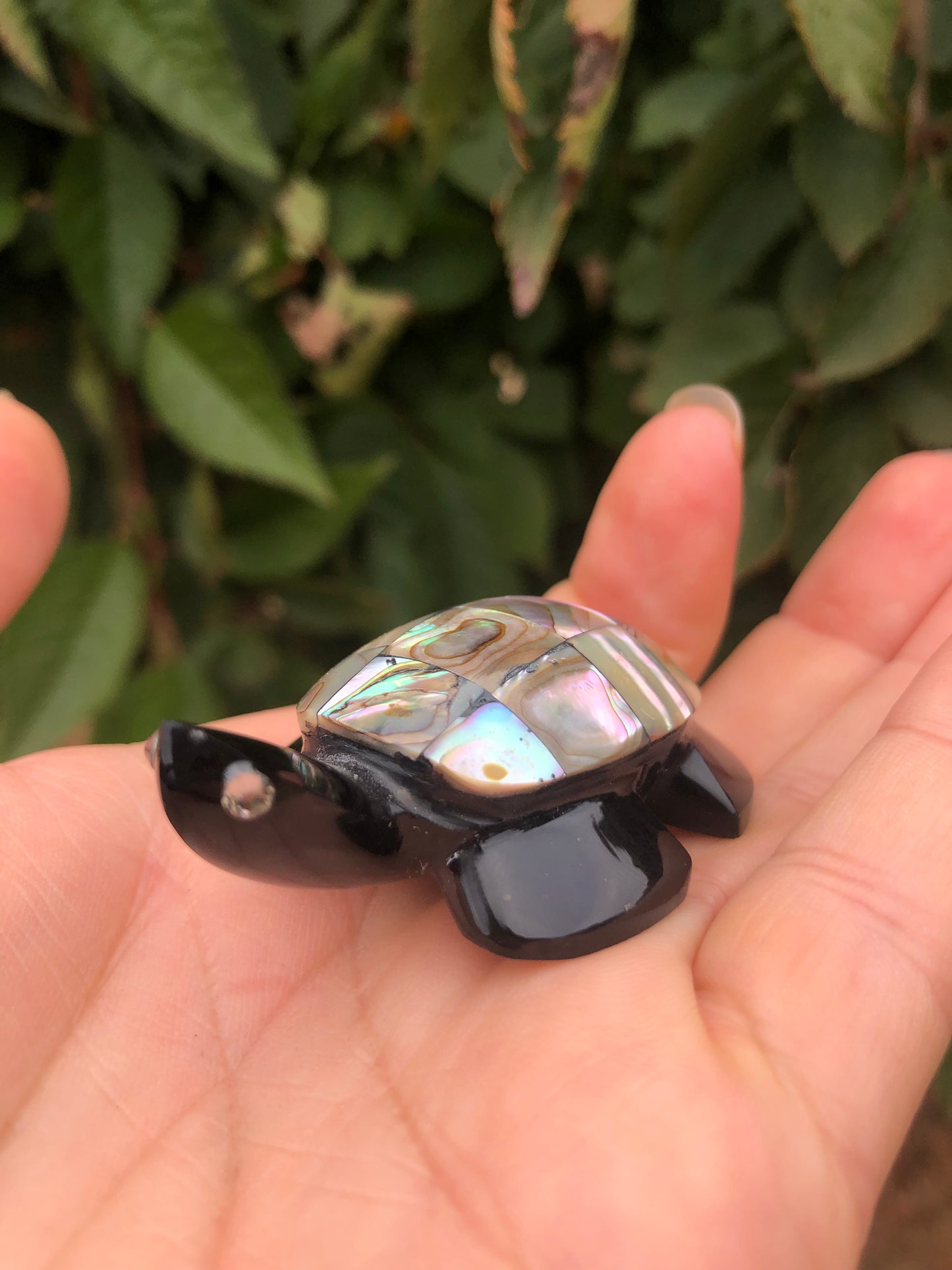 Precious Abalone & Black Obsidian Turtle Carving