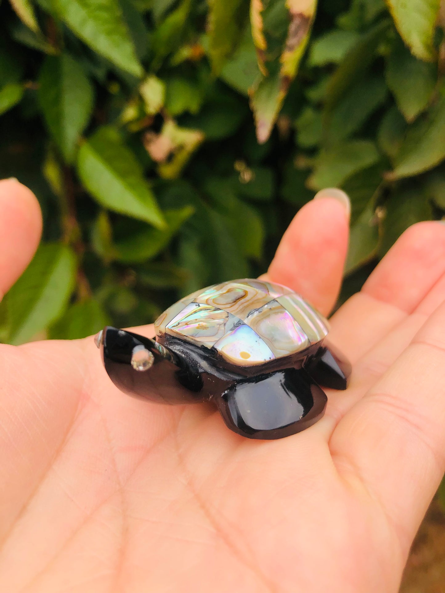 Precious Abalone & Black Obsidian Turtle Carving