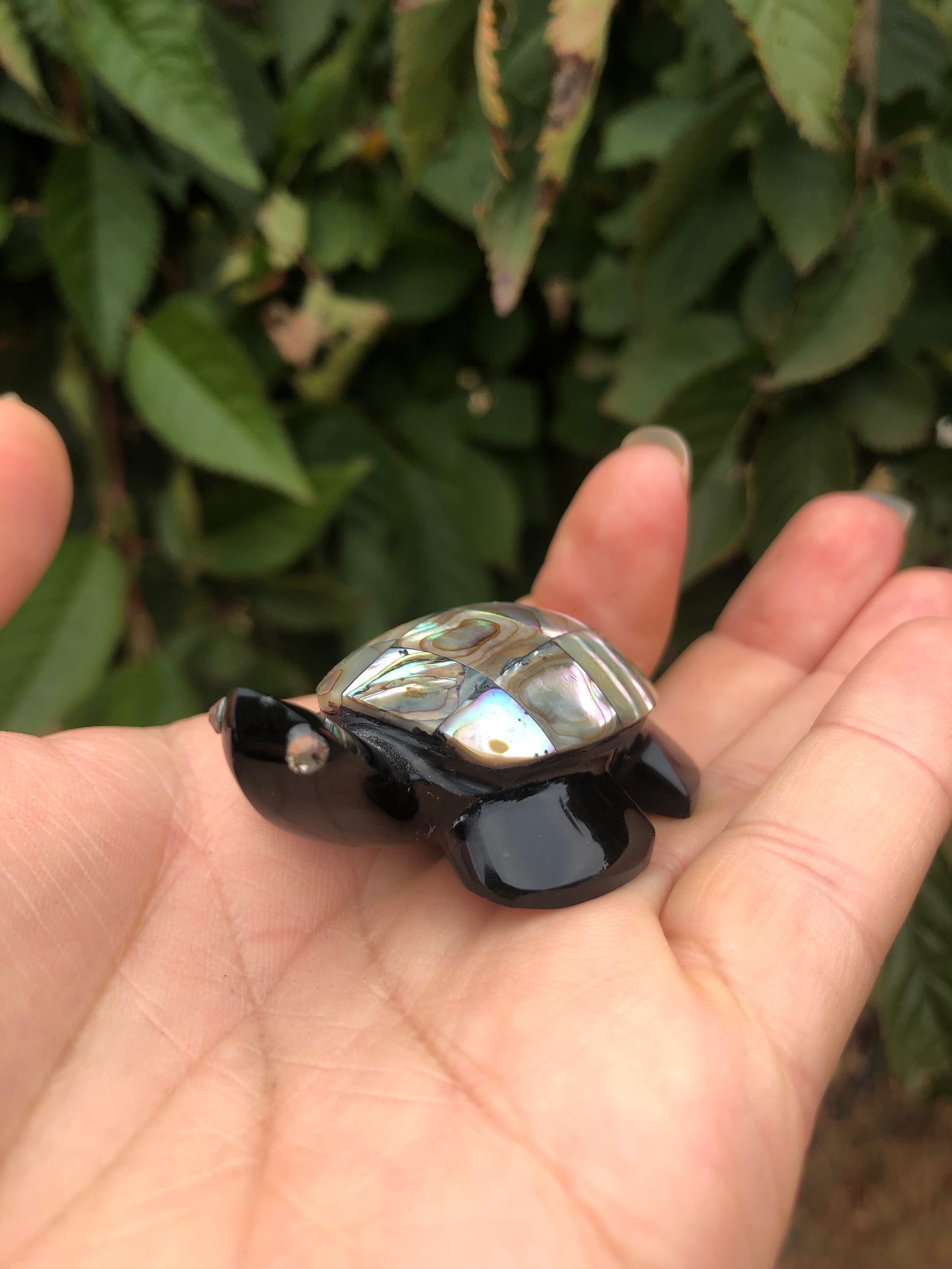 Precious Abalone & Black Obsidian Turtle Carving