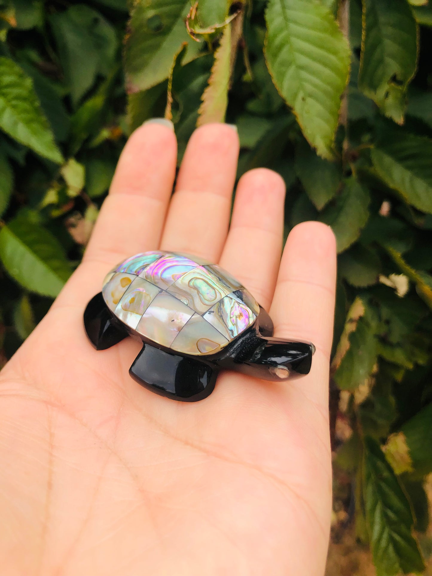 Precious Abalone & Black Obsidian Turtle Carving
