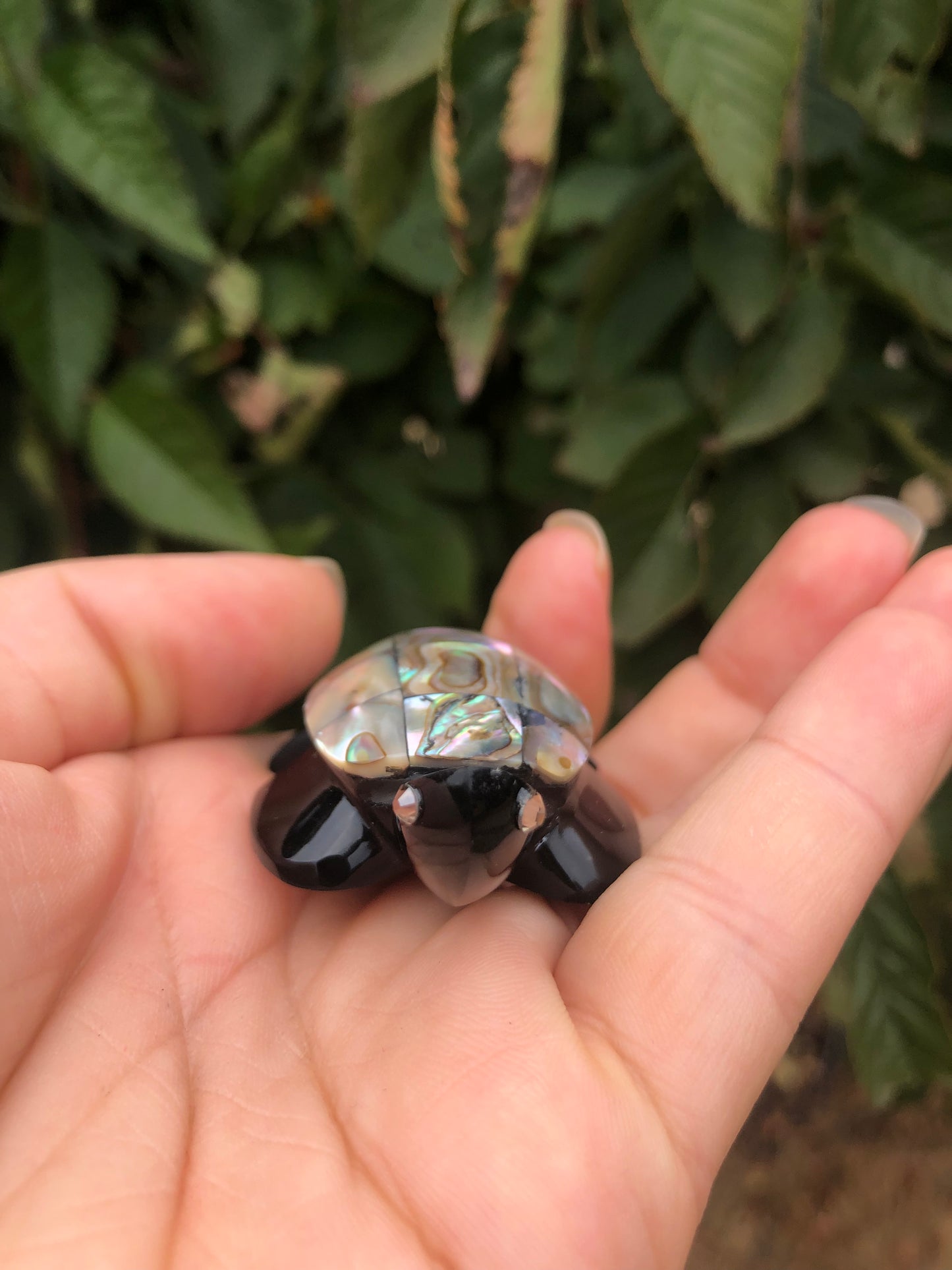 Precious Abalone & Black Obsidian Turtle Carving