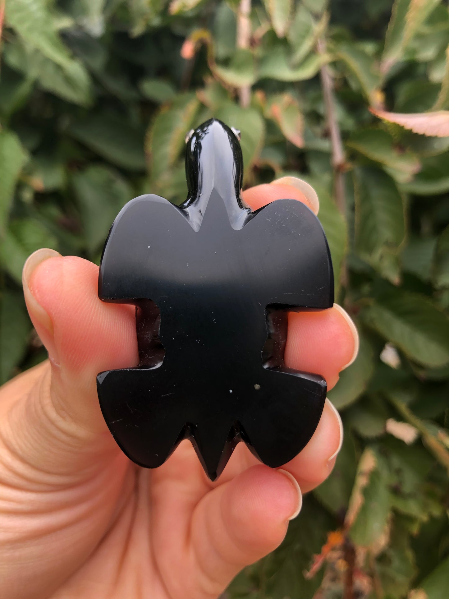 Precious Abalone & Black Obsidian Turtle Carving