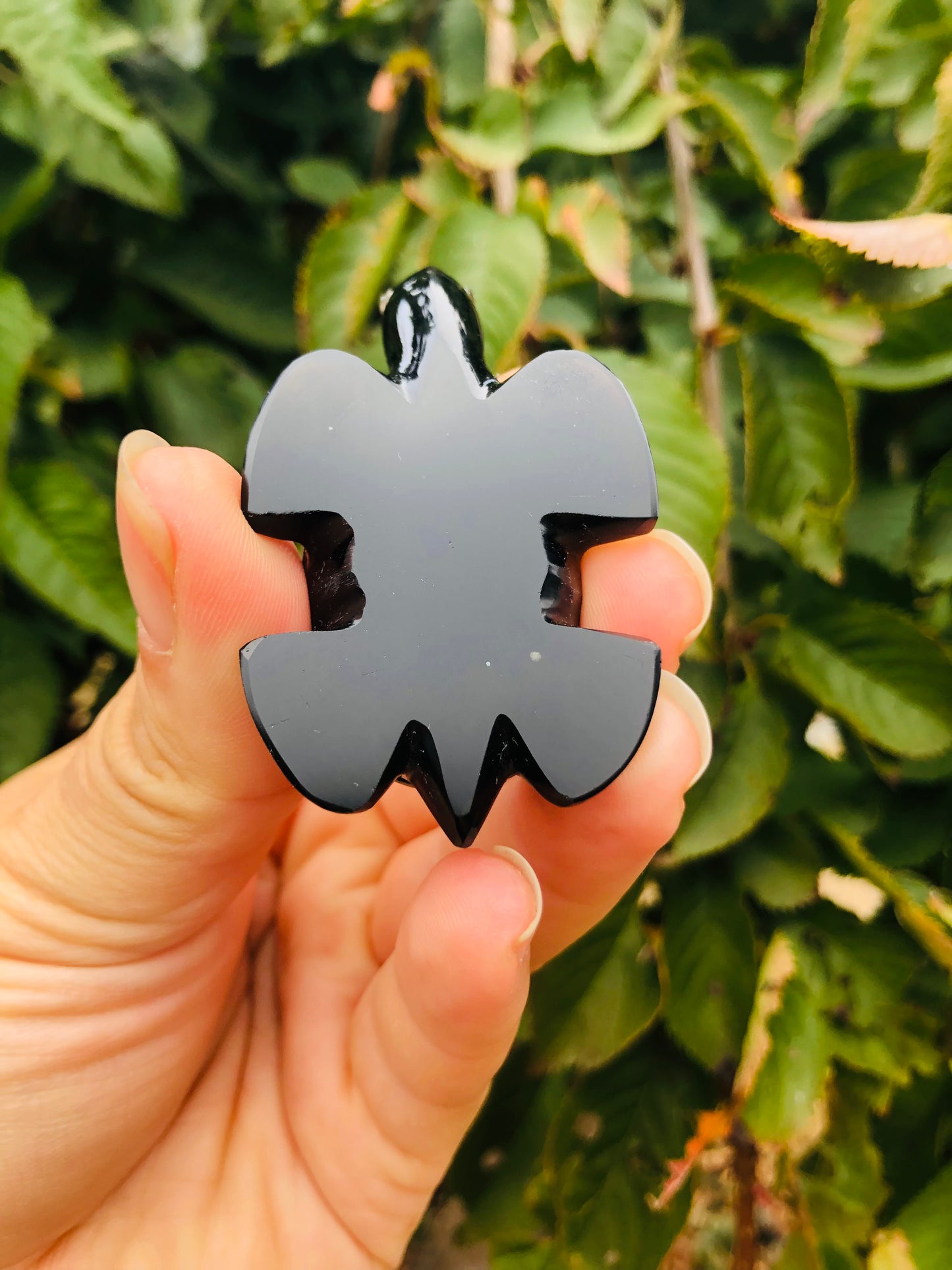 Precious Abalone & Black Obsidian Turtle Carving