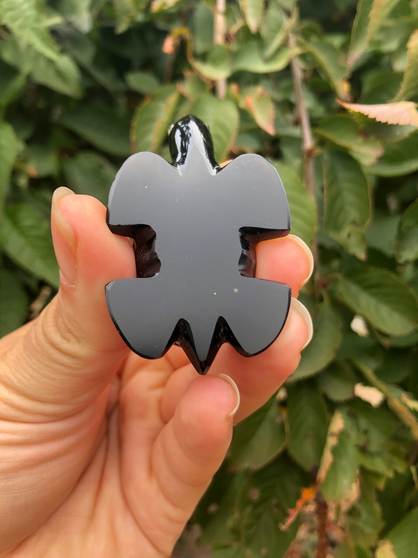 Precious Abalone & Black Obsidian Turtle Carving