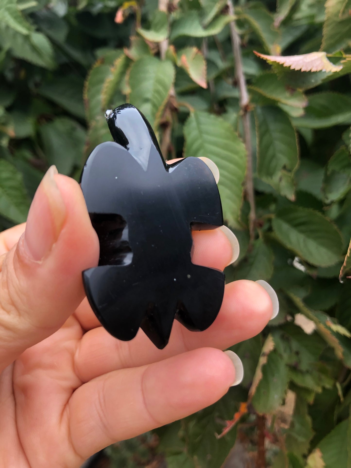 Precious Abalone & Black Obsidian Turtle Carving