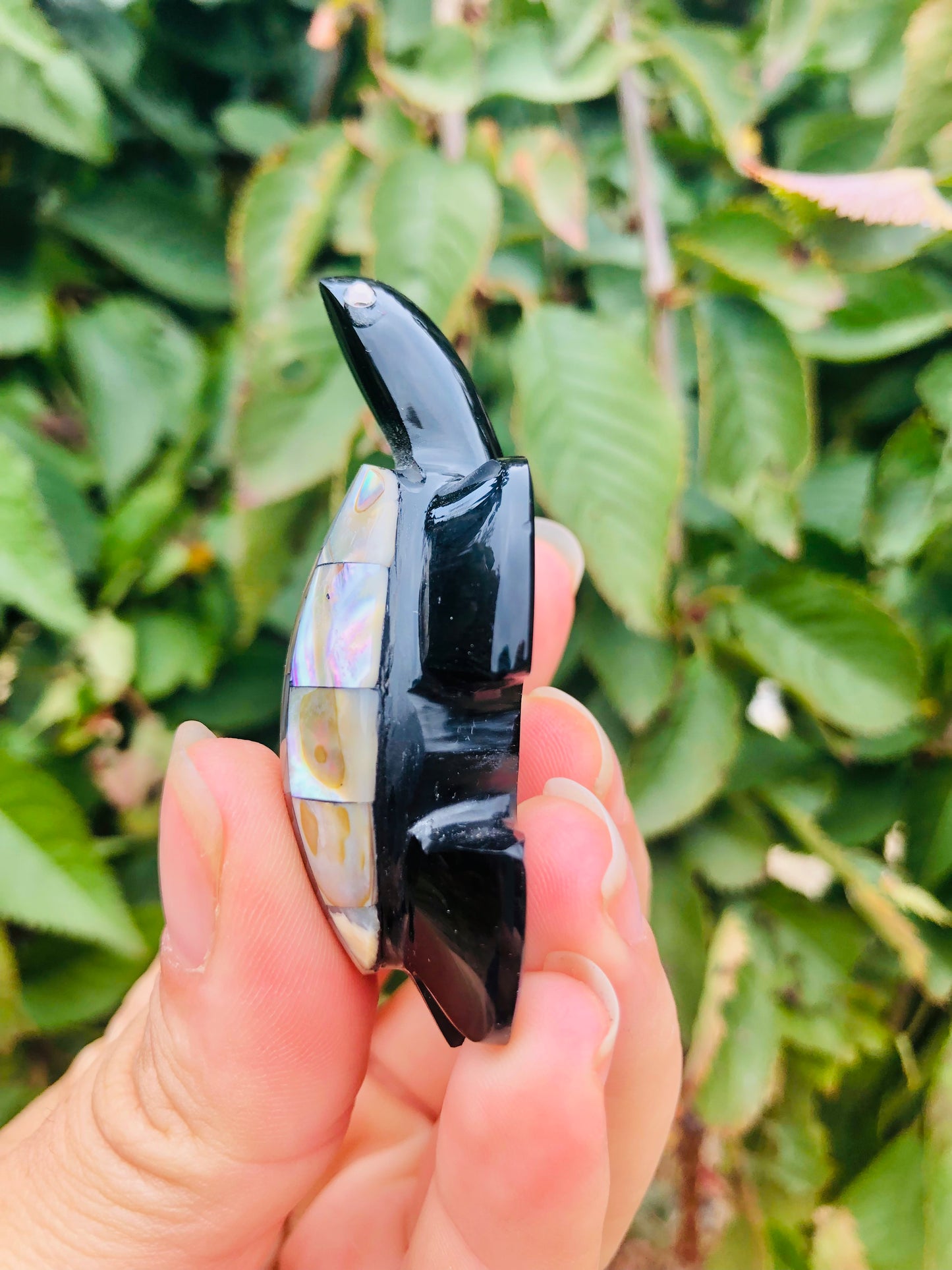 Precious Abalone & Black Obsidian Turtle Carving