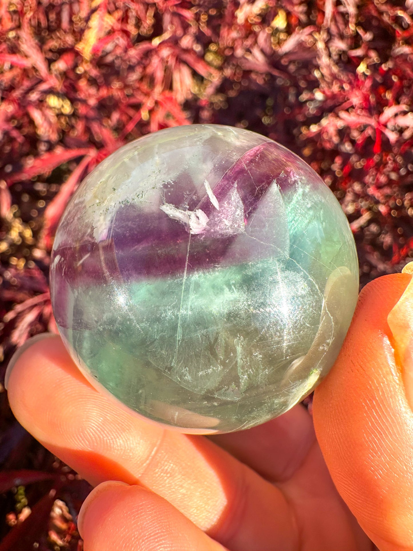 Stunning Rainbow Snowflake Fluorite Sphere