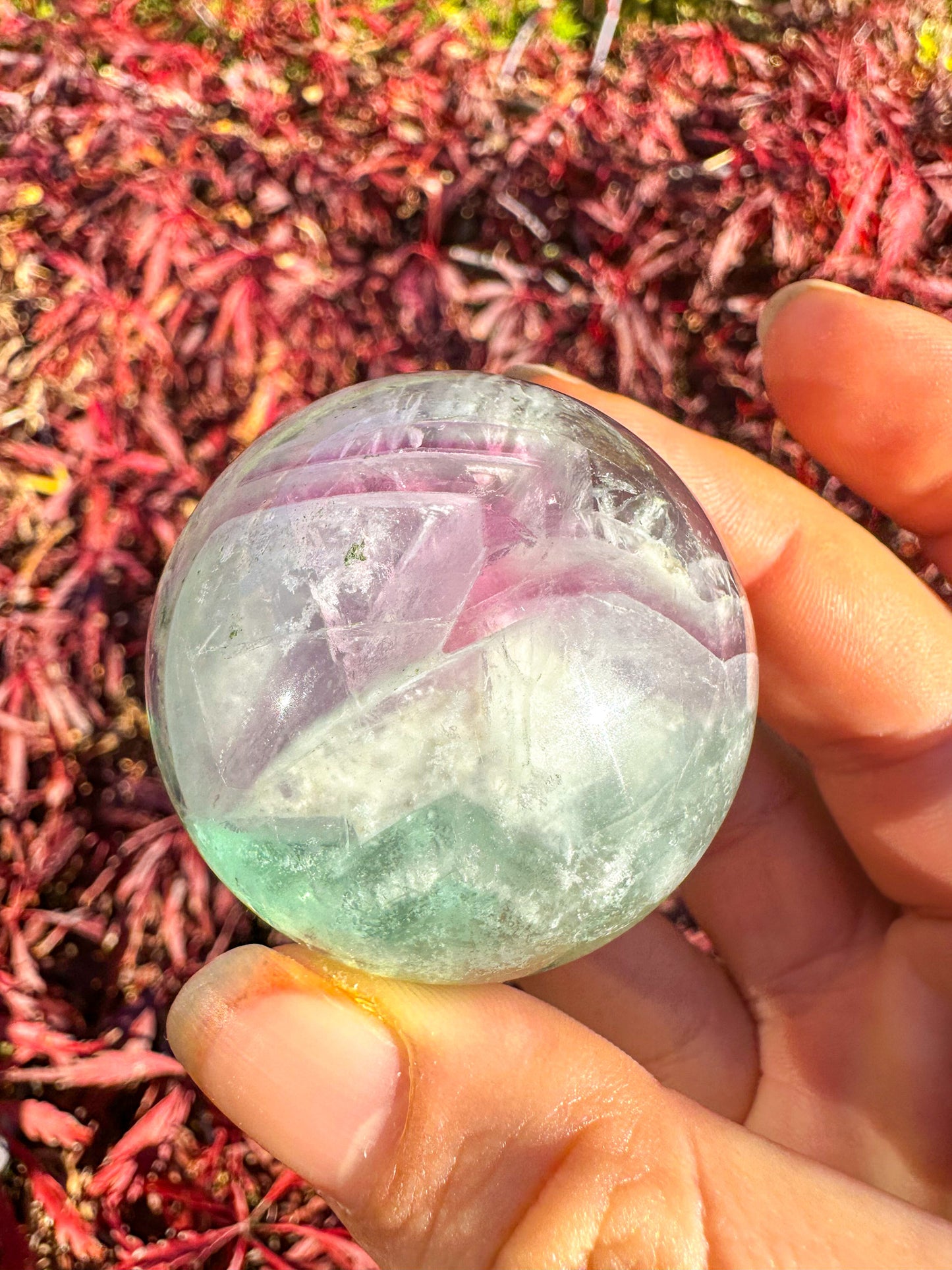 Stunning Rainbow Snowflake Fluorite Sphere