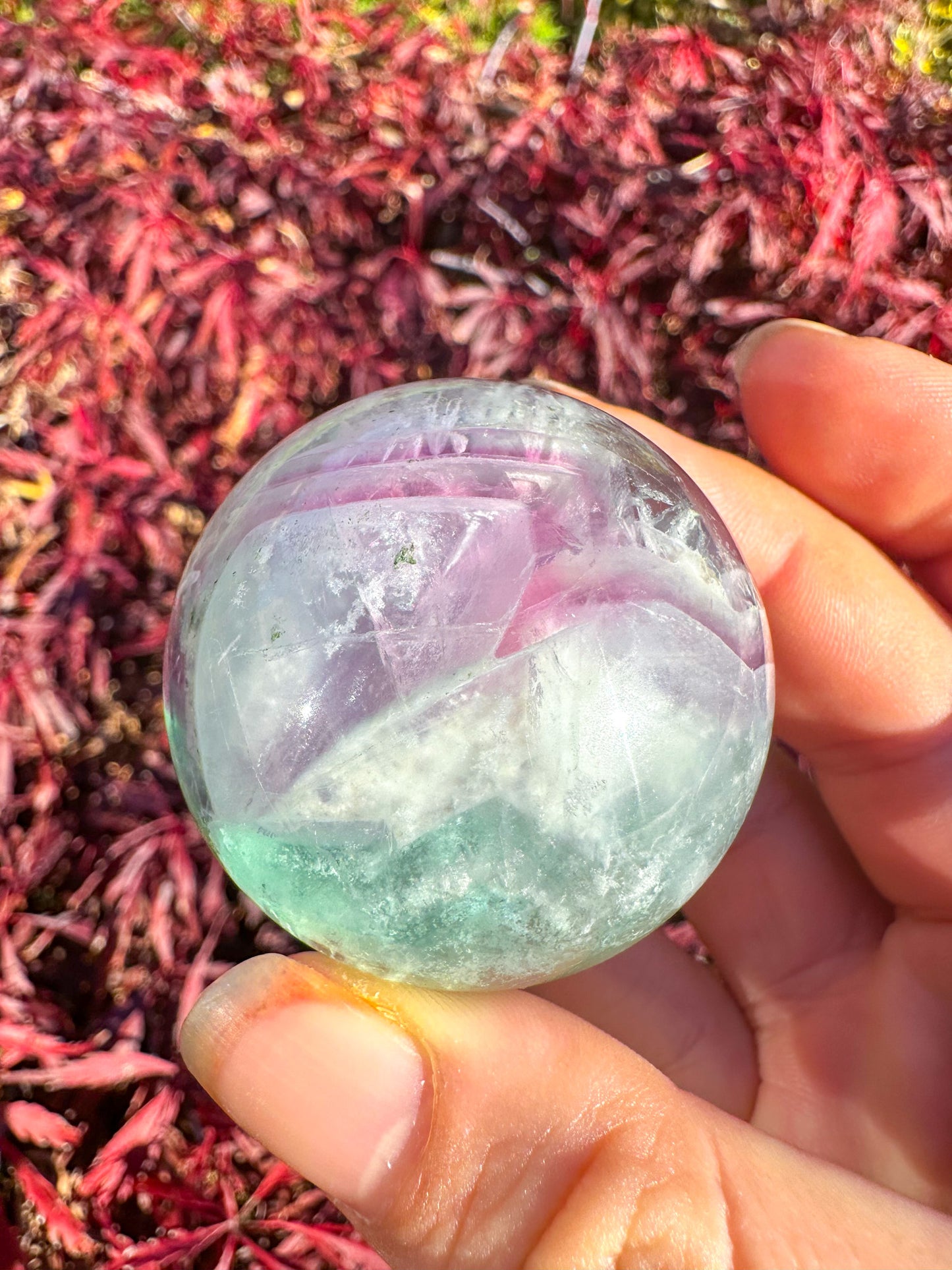 Stunning Rainbow Snowflake Fluorite Sphere